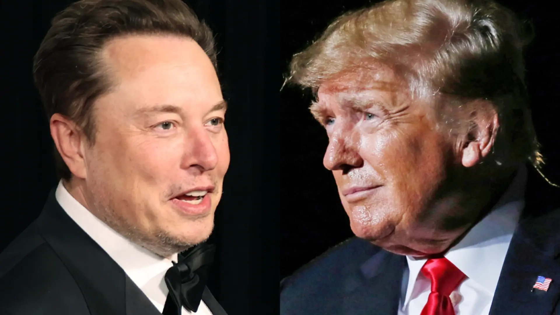 Elon Musk Explains, ‘If Trump Is Not Elected….This Will Be…’