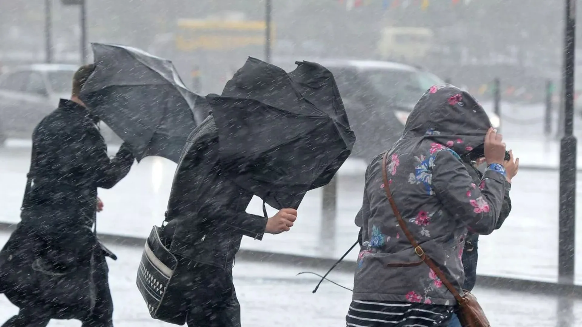 East Coast To Experience Hail, Snow, And Chilly Winds With Upcoming Cold Front