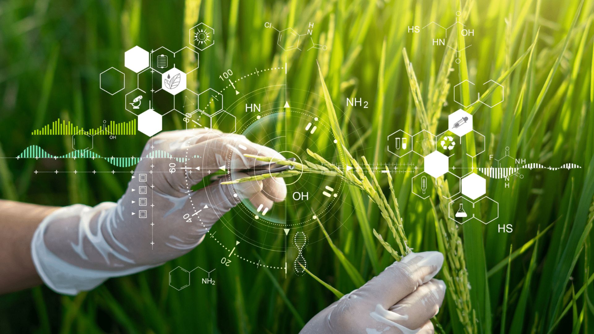 Illumina and LGC Biosearch Partner to Advance Agricultural Genomics