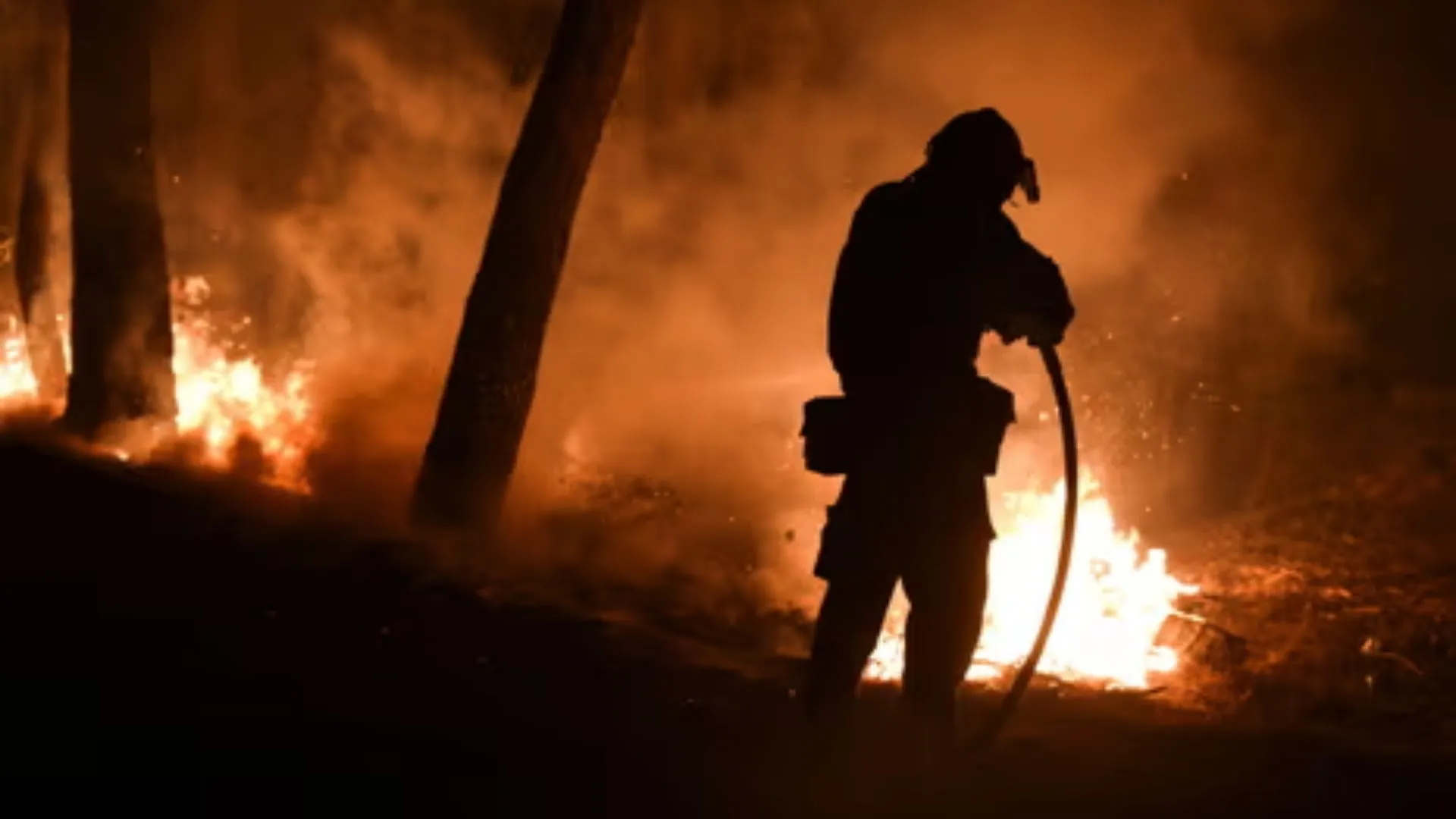 Greek Woman Starts Wildfires To Flirt With Firefighters, Ends Up Behind Bars