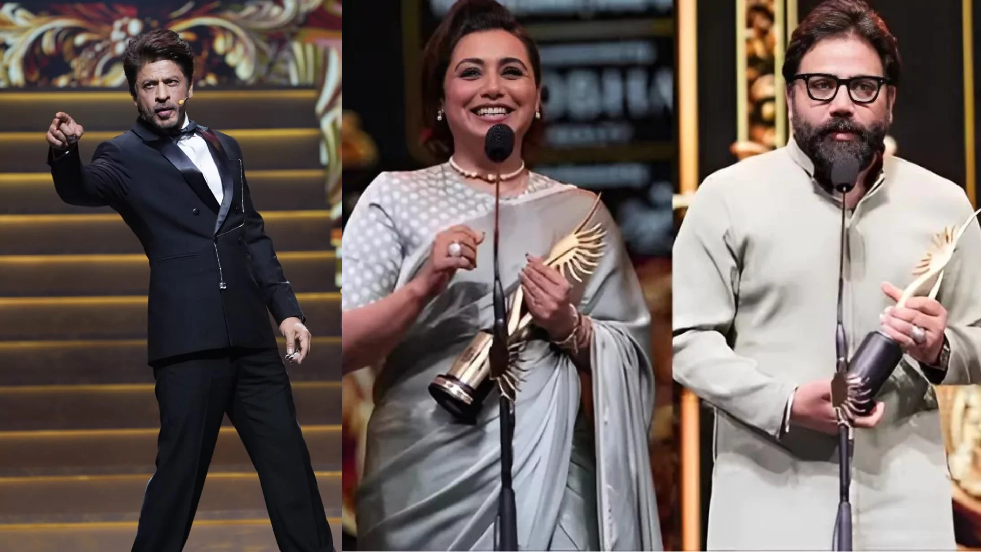 IIFA Rocks 2024: Animal Takes The Crown; Full List Of Winners Out