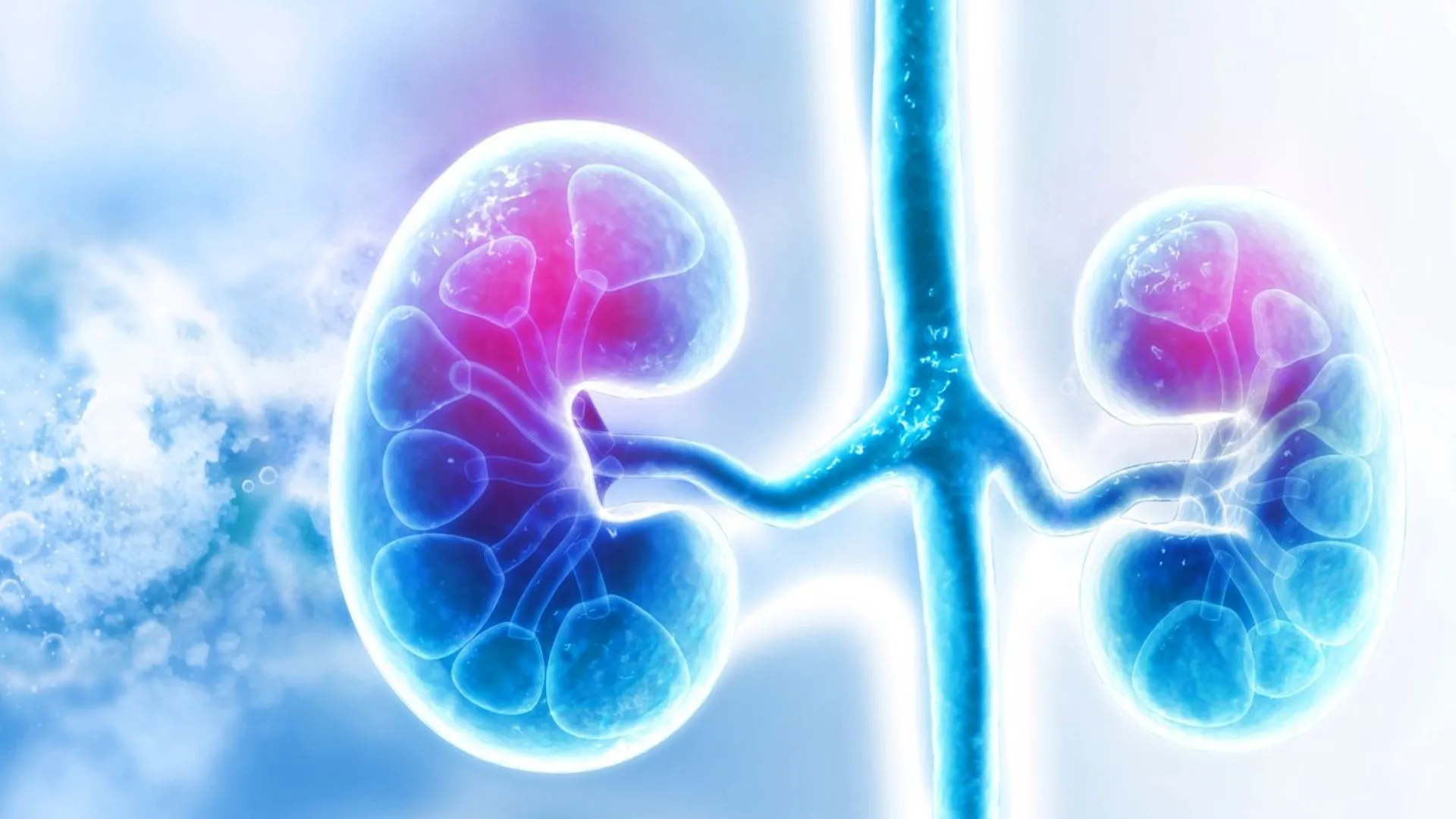 Study Reveals New Method For Forecasting Chronic Kidney Disease Progression