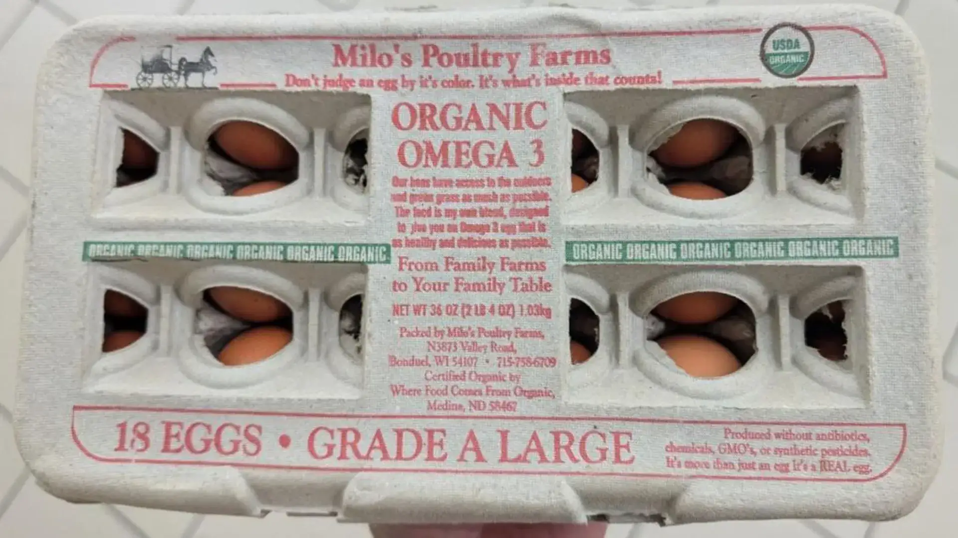 Salmonella Contamination In Recalled Eggs: 24 Hospitalized, No Deaths Reported