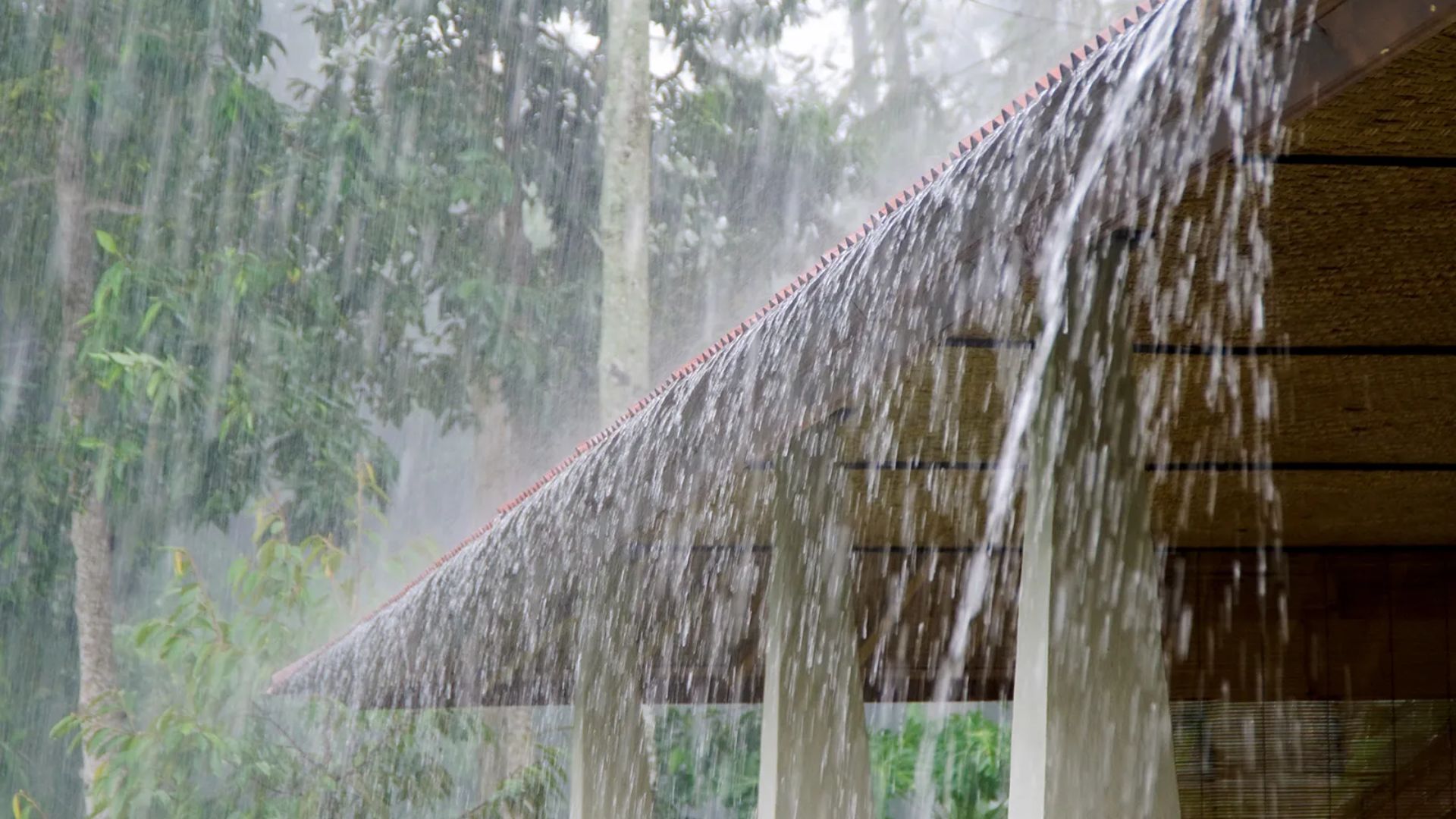 Bihar Is On Alert As IMD Warns Of Heavy Rain, Flash Flood