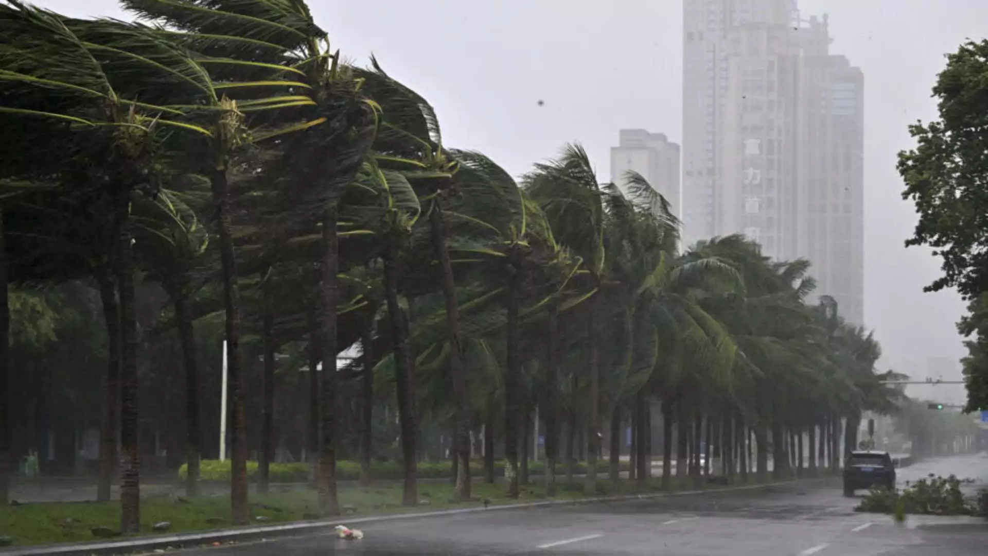 Shanghai Issues Red Alert as Typhoon Bebinca Hits Landfall; Strongest in Decades