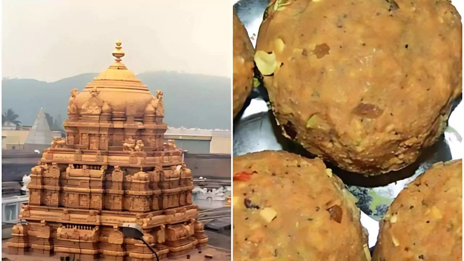 Tirupati Laddu Row: Amul Clarifies Supply of Ghee Amid Tirupati Laddu Controversy Over Adulteration Claims