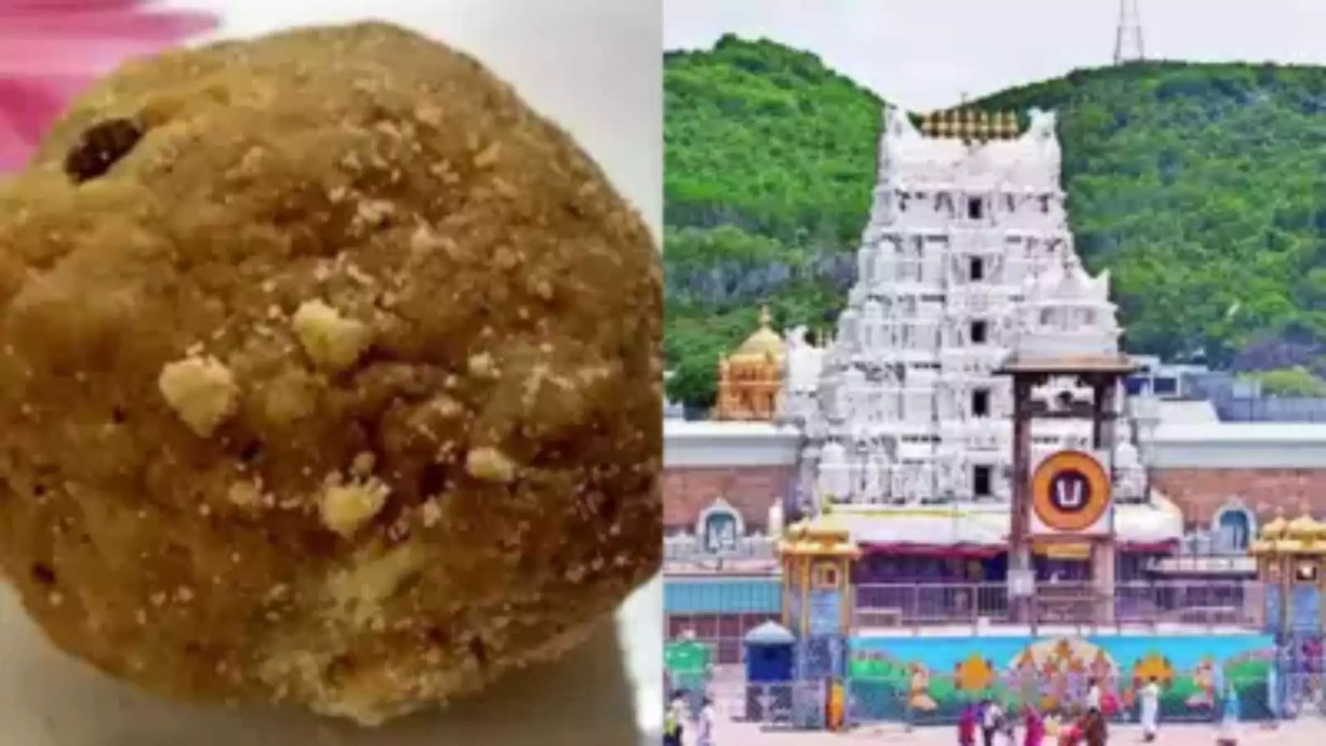 Tirupati Temple Laddus: Here’s All You Need To Know About The Price, Cultural Significance, and Recent Controversy