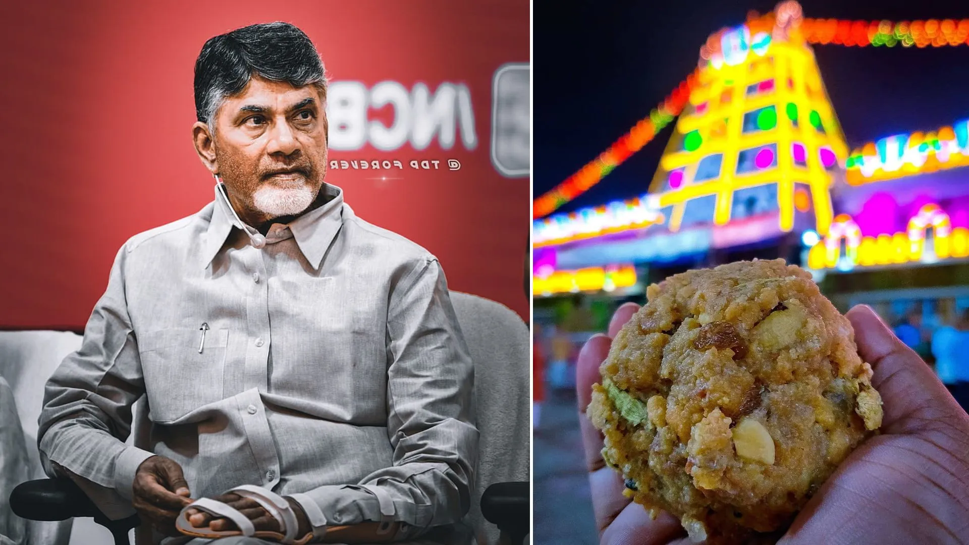 Tirupati Laddu Controversy: AP CM Naidu Accuses Previous Government Of Using Animal Fat