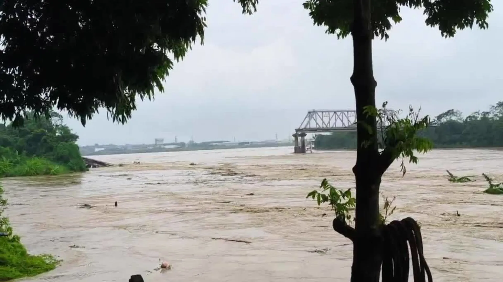 Vietnam Bridge Collapse: Cars Fall Into River Amid Super Typhoon