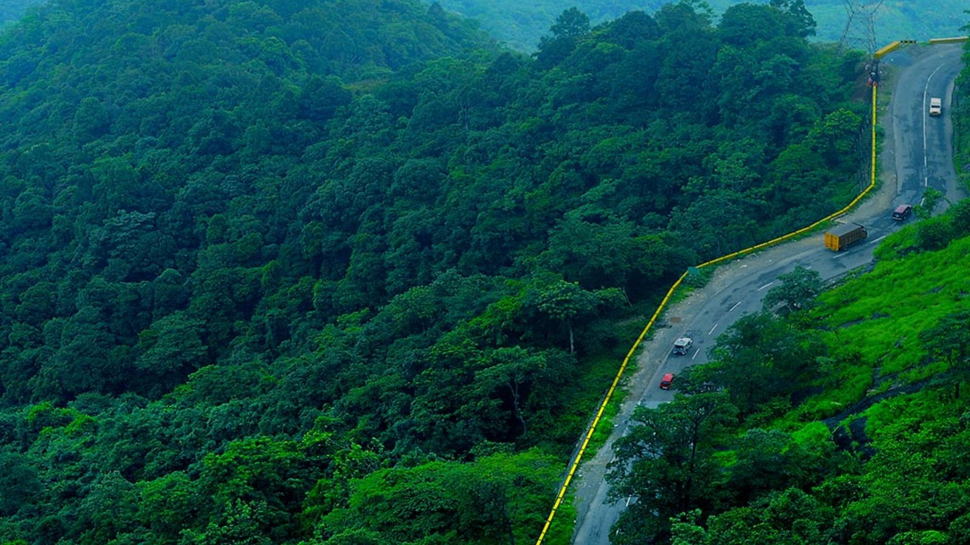 Rahul Gandhi Calls On People To Support Wayanad’s Tourism Revival