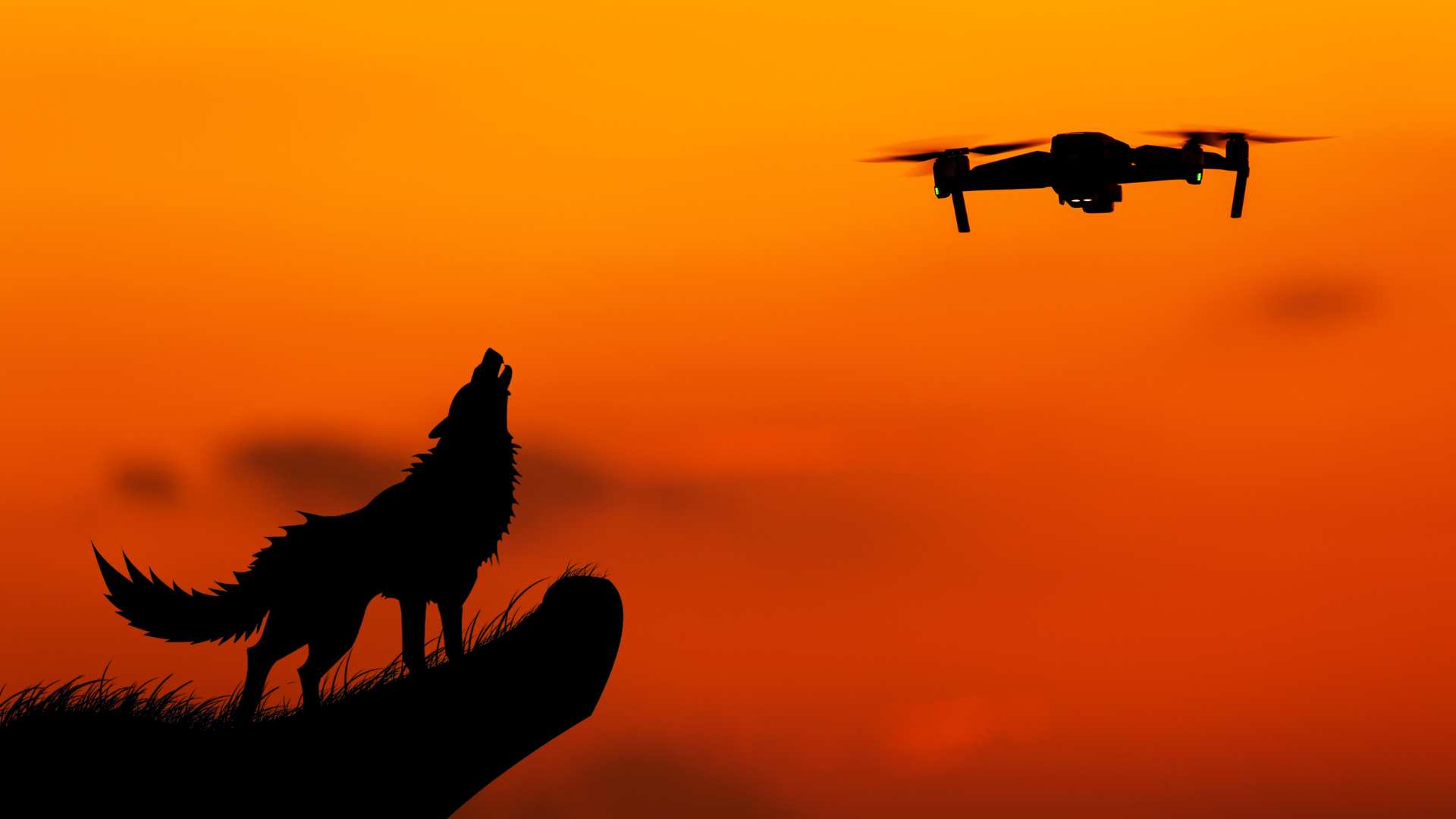 Drone Footage Reveals Intensified Search For Remaining Wolves In Bahraich