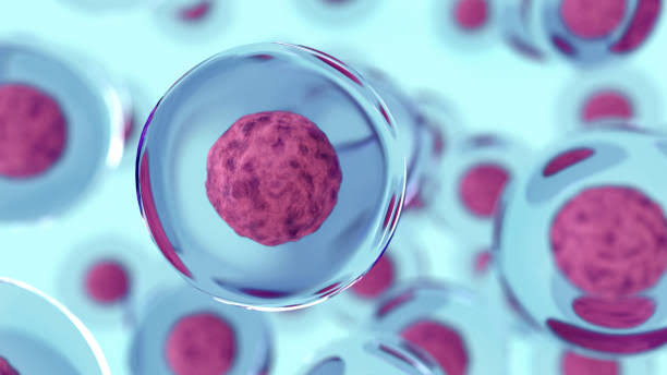 Melbourne Scientists Create Human-Like Blood Stem Cells, Opening Door to Personalized Leukemia Treatments