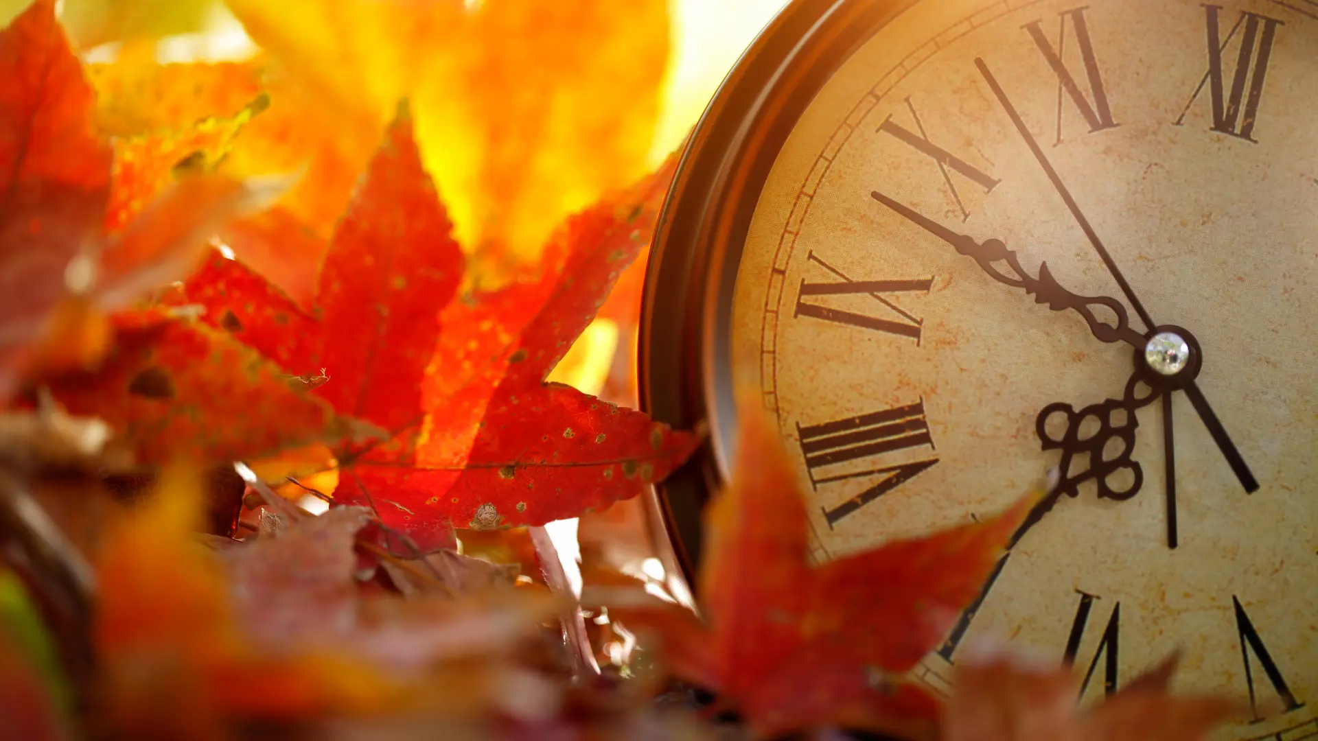 What is Daylight Saving Time? When Does It End In 2024 And Do All