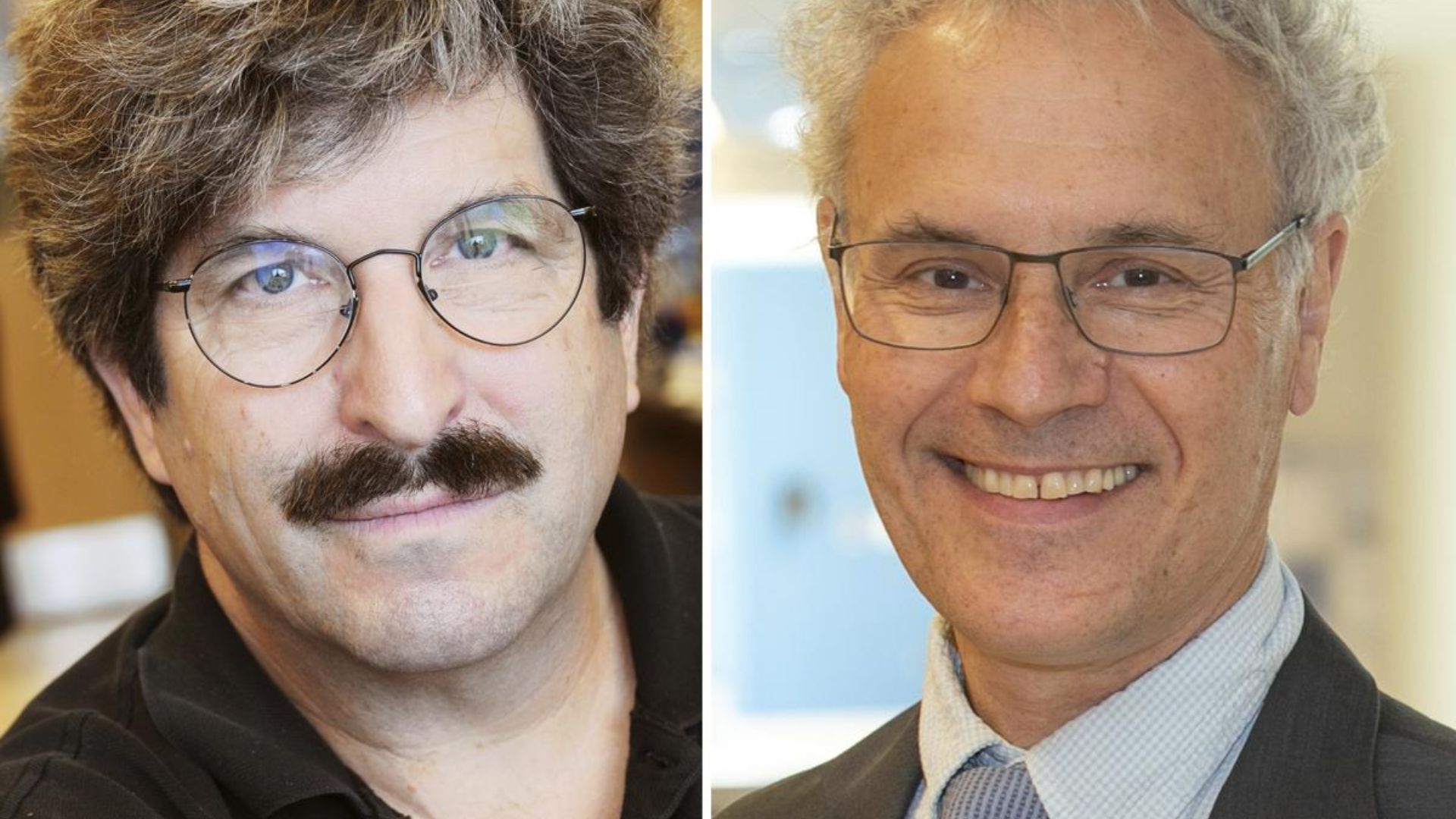 Nobel Prize goes to microRNA researchers