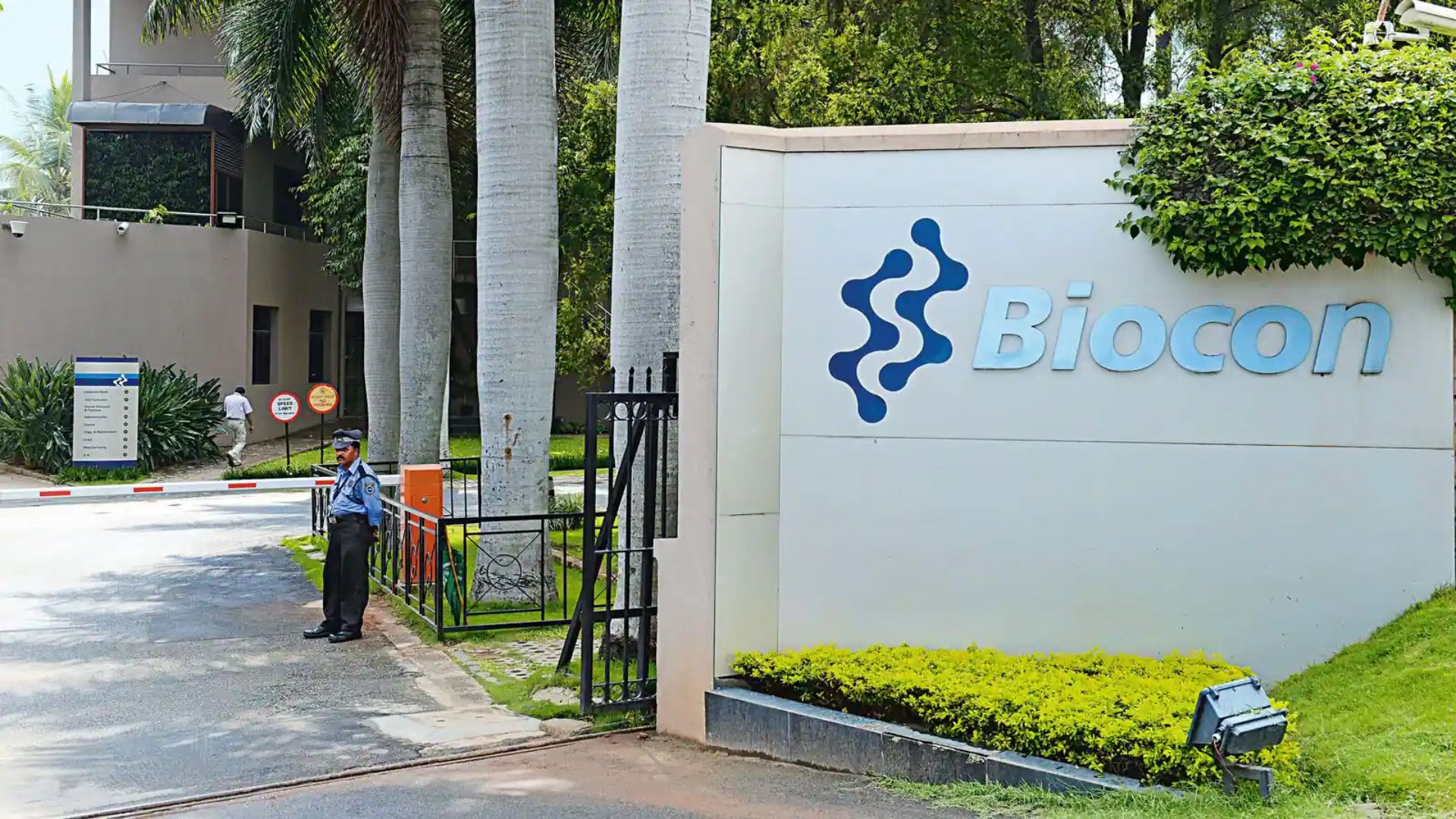 Biocon Q2 FY25 Results: Net Profit Declines 84% To Rs 27.1 Crore