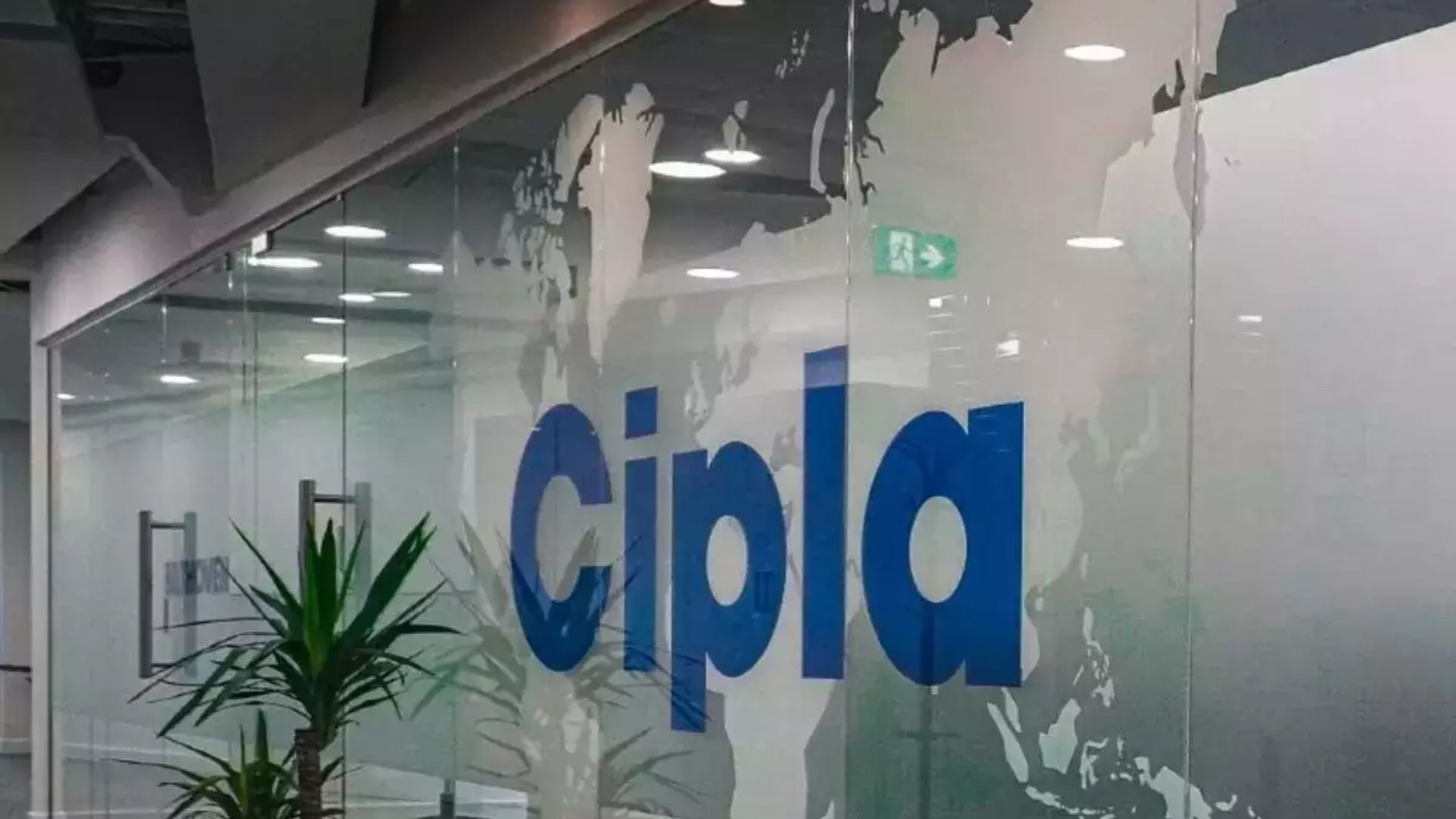 Cipla’s Drops Over 3% Ahead Of Q2FY25 Results