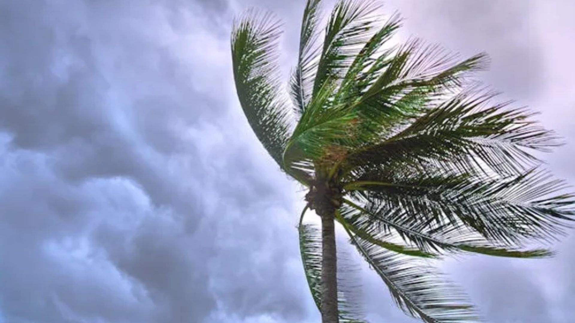 Bay Of Bengal Cyclone 25 Teams Of NDRF On Standby In Odisha WB