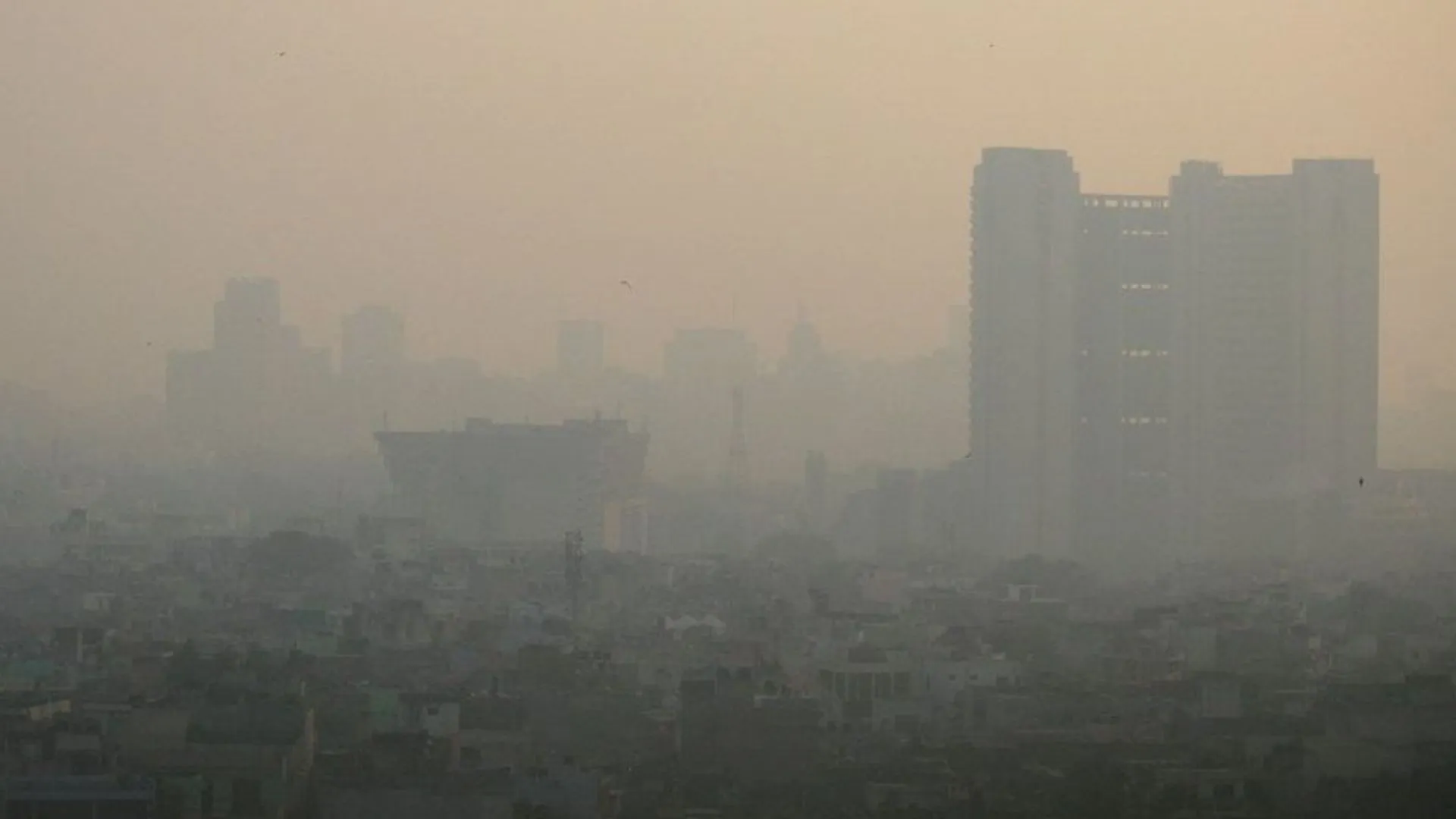 Delhi’s Air Pollution Crisis Hits ‘Severe’ Levels: Must-Know Dos And Don’ts