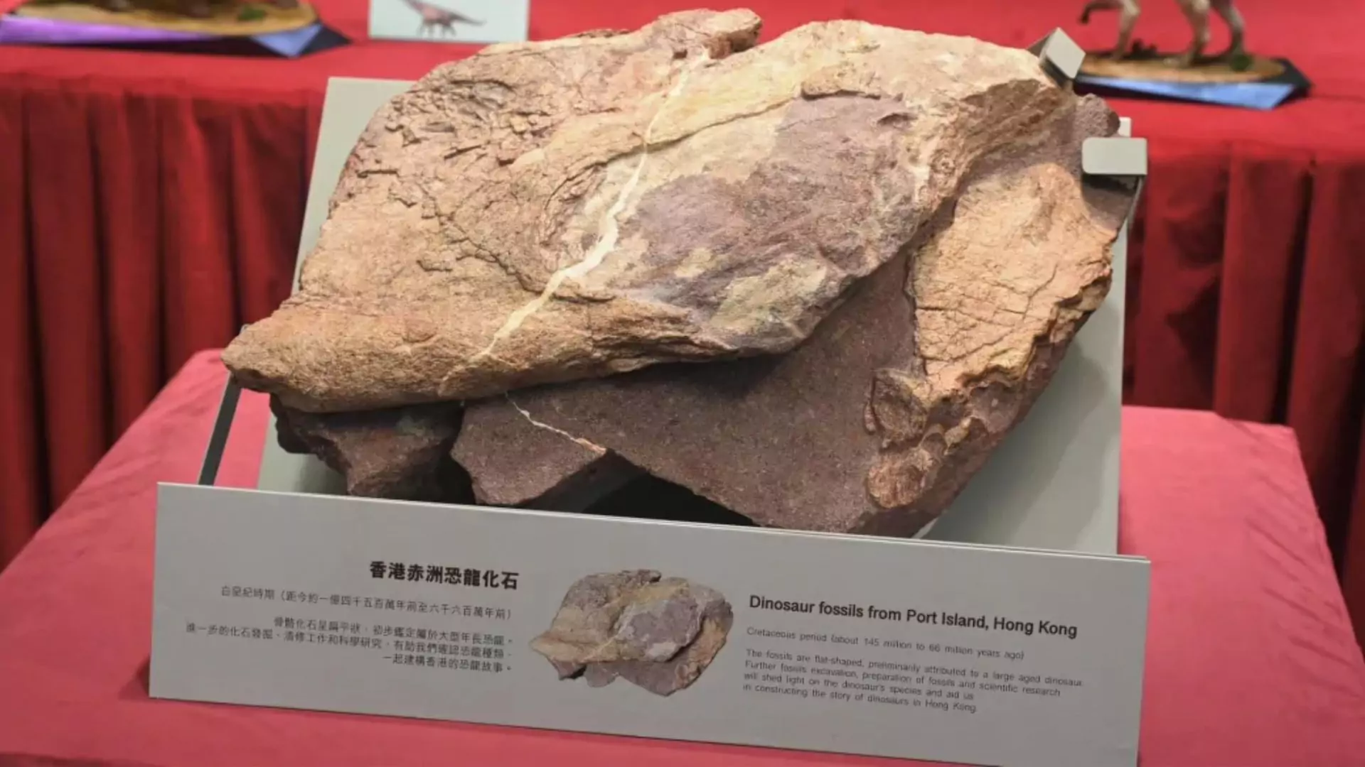 First Dinosaur Fossils Discovered in Hong Kong; A Groundbreaking Find on Port Island