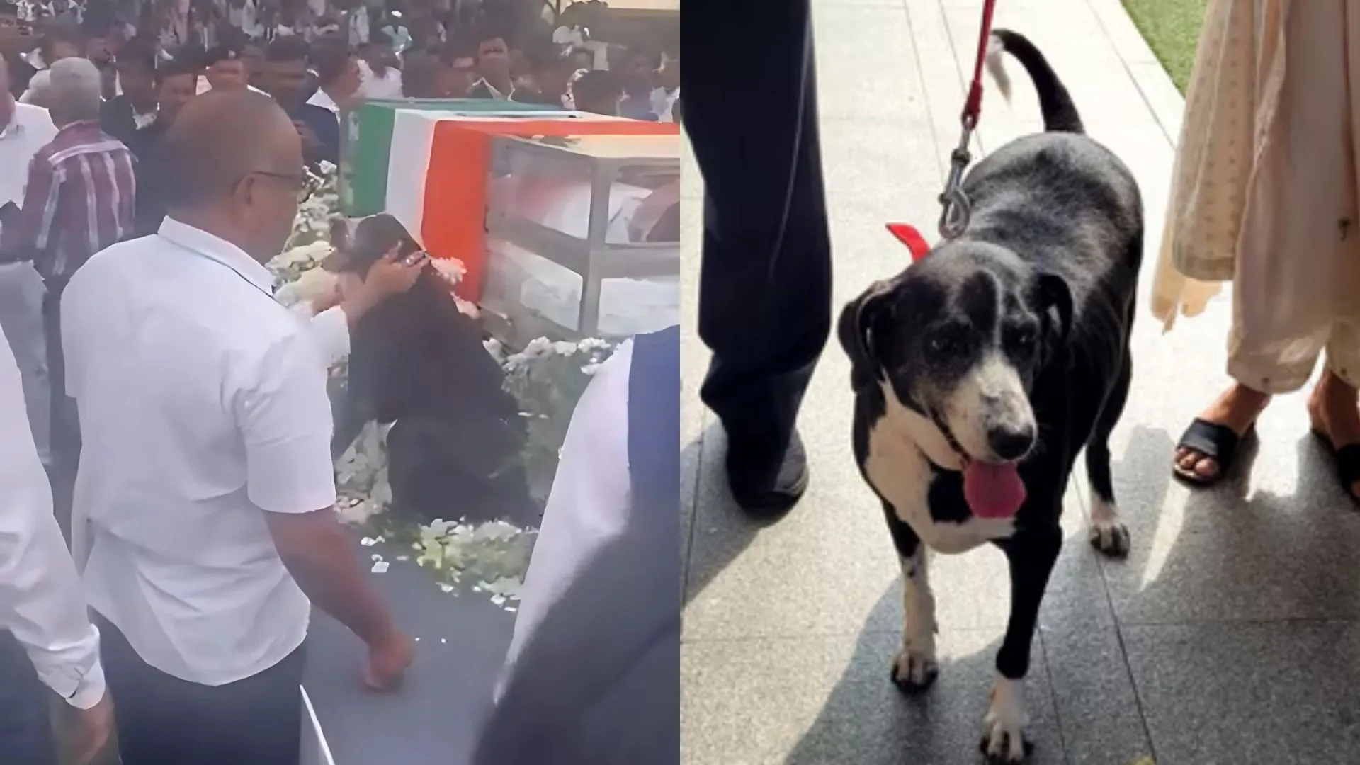 Ratan Tata’s Dog ‘Goa’ Pays Final Respects At Funeral