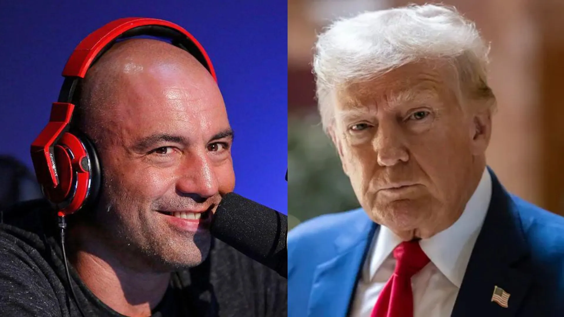 Here’s What We Know About Trump’s Upcoming Podcast With Joe Rogan