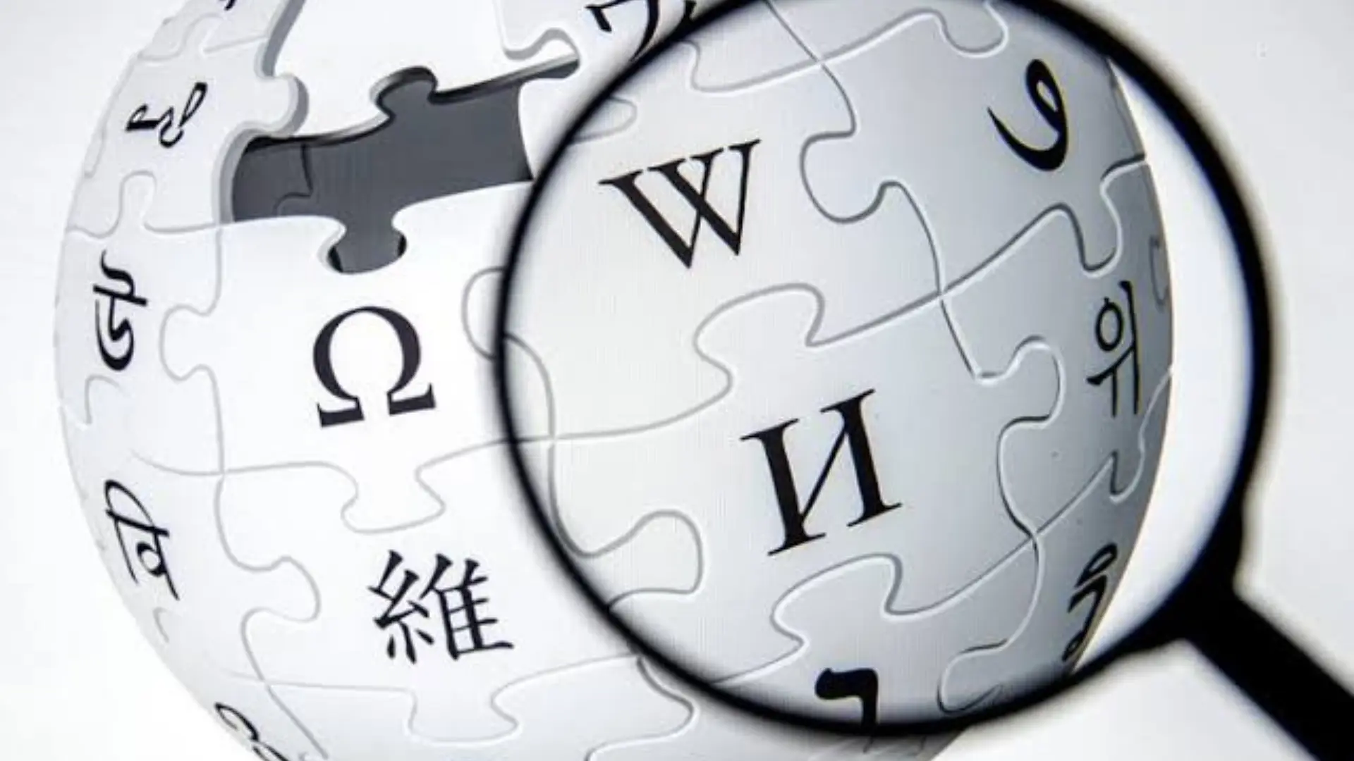 Delhi HC Labels Wikipedia’s Unique Model As ‘Dangerous’! Here’s Why?