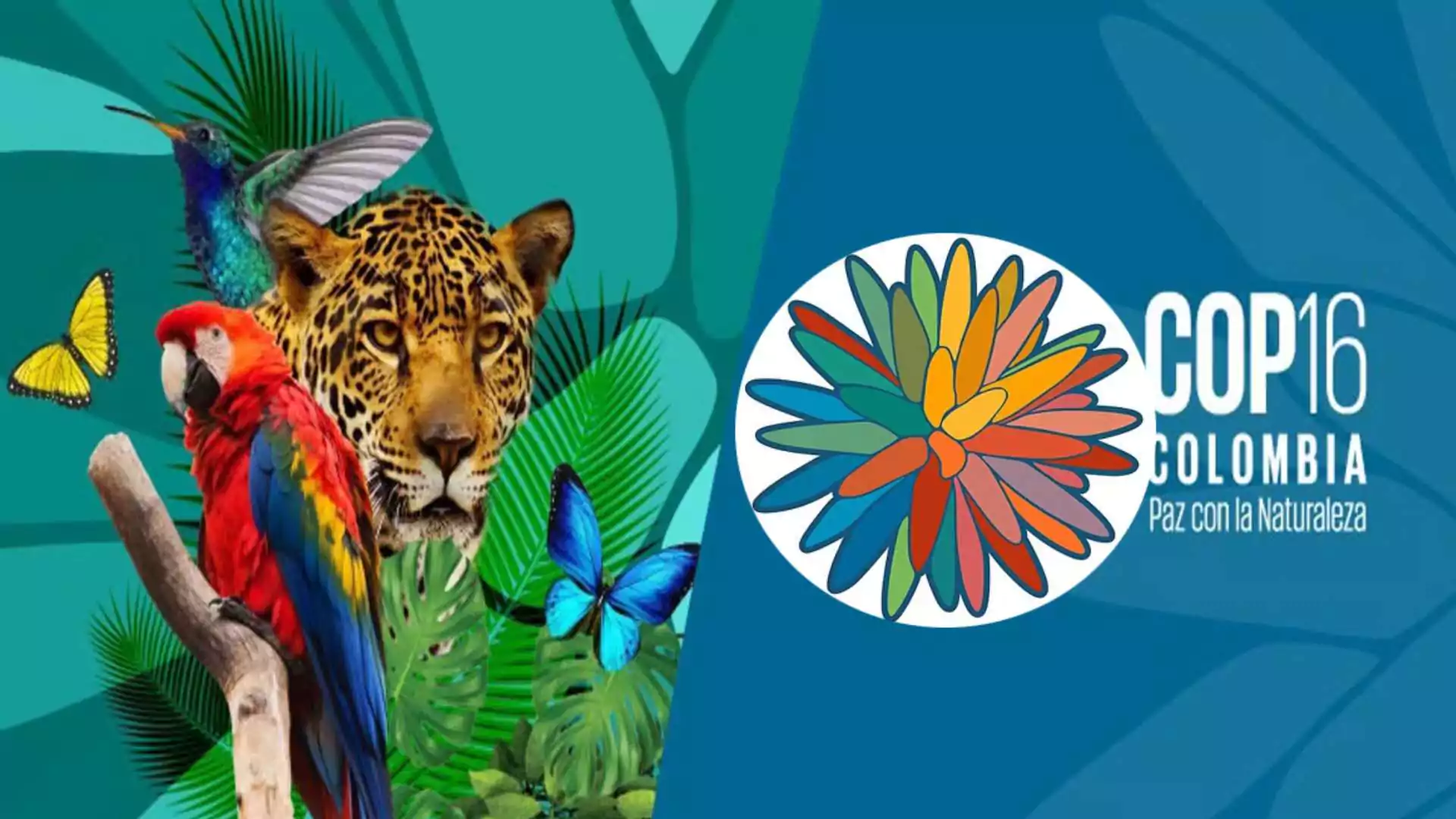 India Seeks Global Support for Biodiversity Action Plan at COP16