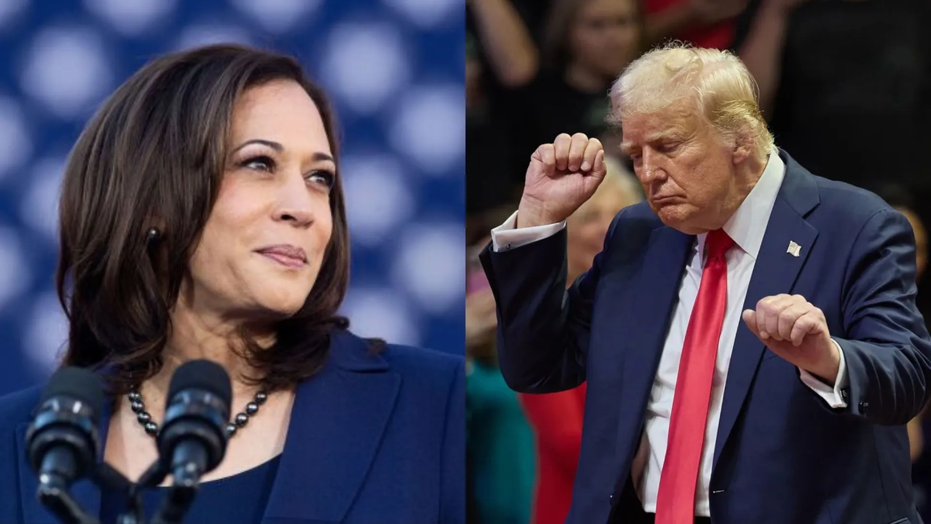 Kamala Harris Targets Donald Trump’s Mental Fitness After Bizarre Campaign Rally Performance