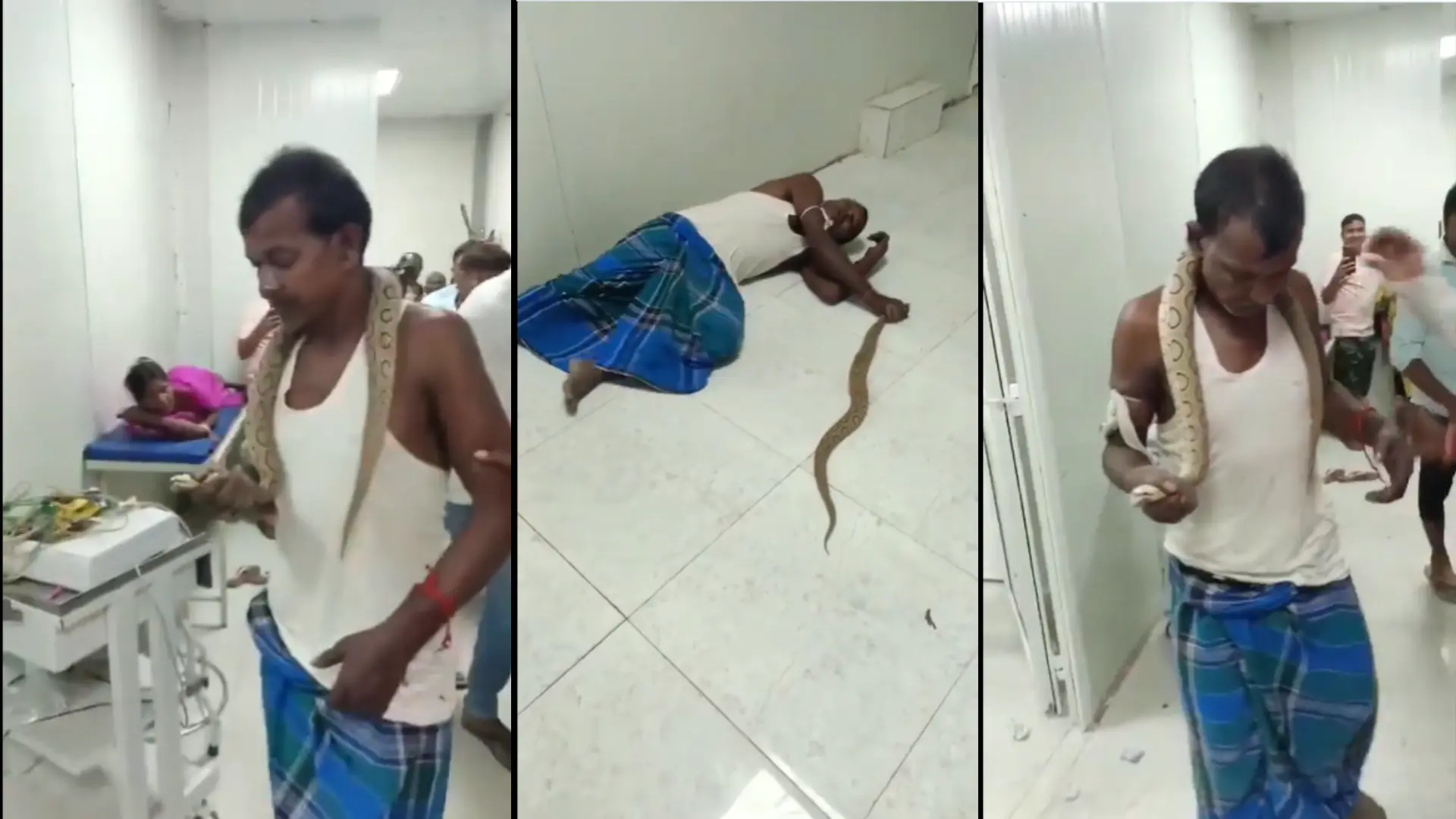 Shocking Incident! Man Enters Bihar Hospital With Snake Around Neck After Viper Bite