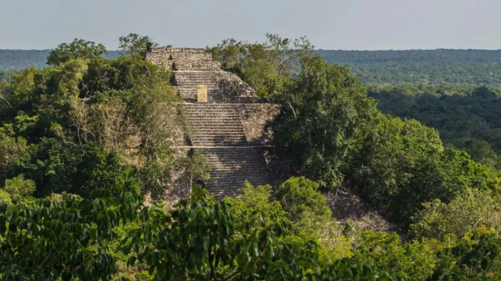 Lost Mayan City Accidentally Unearthed In The Depths of Mexico’s Jungle