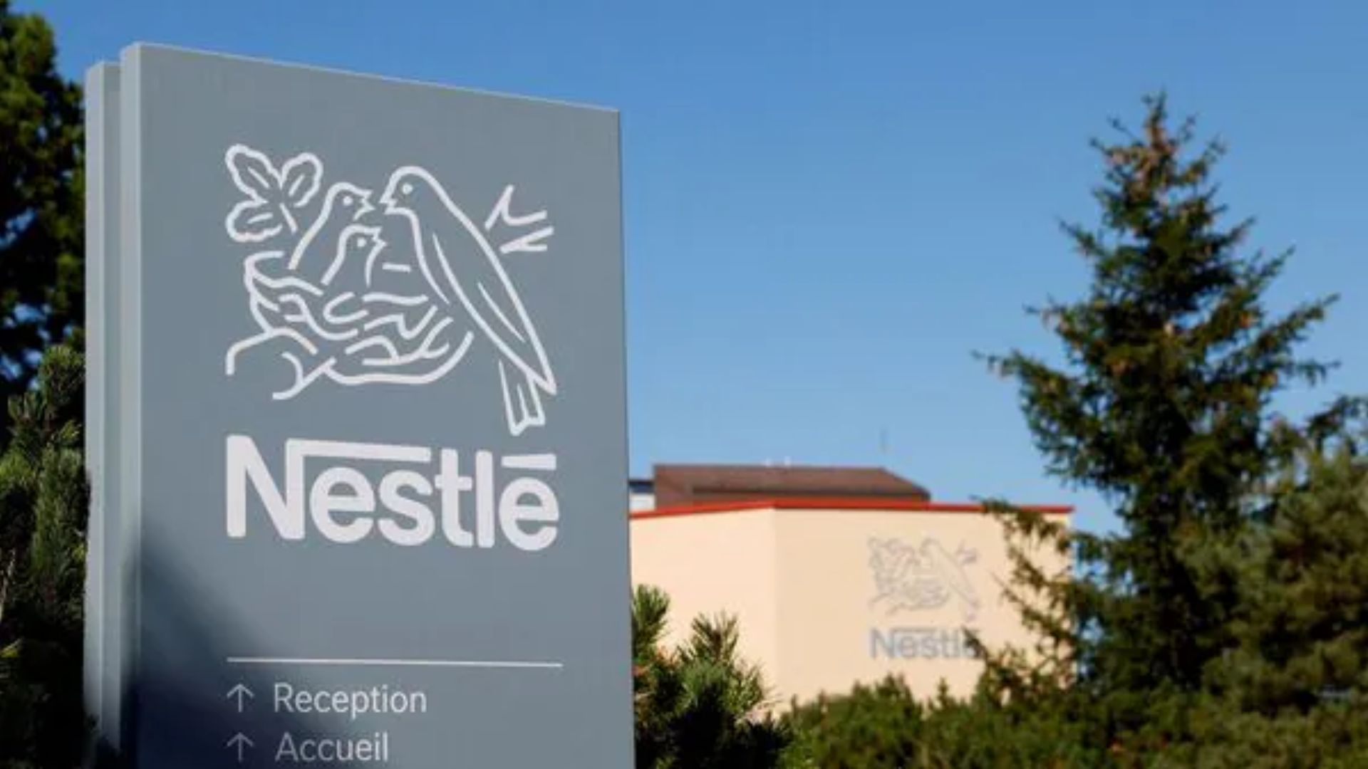 Nestle India Q2 Results: Net Profit Decreases Marginally