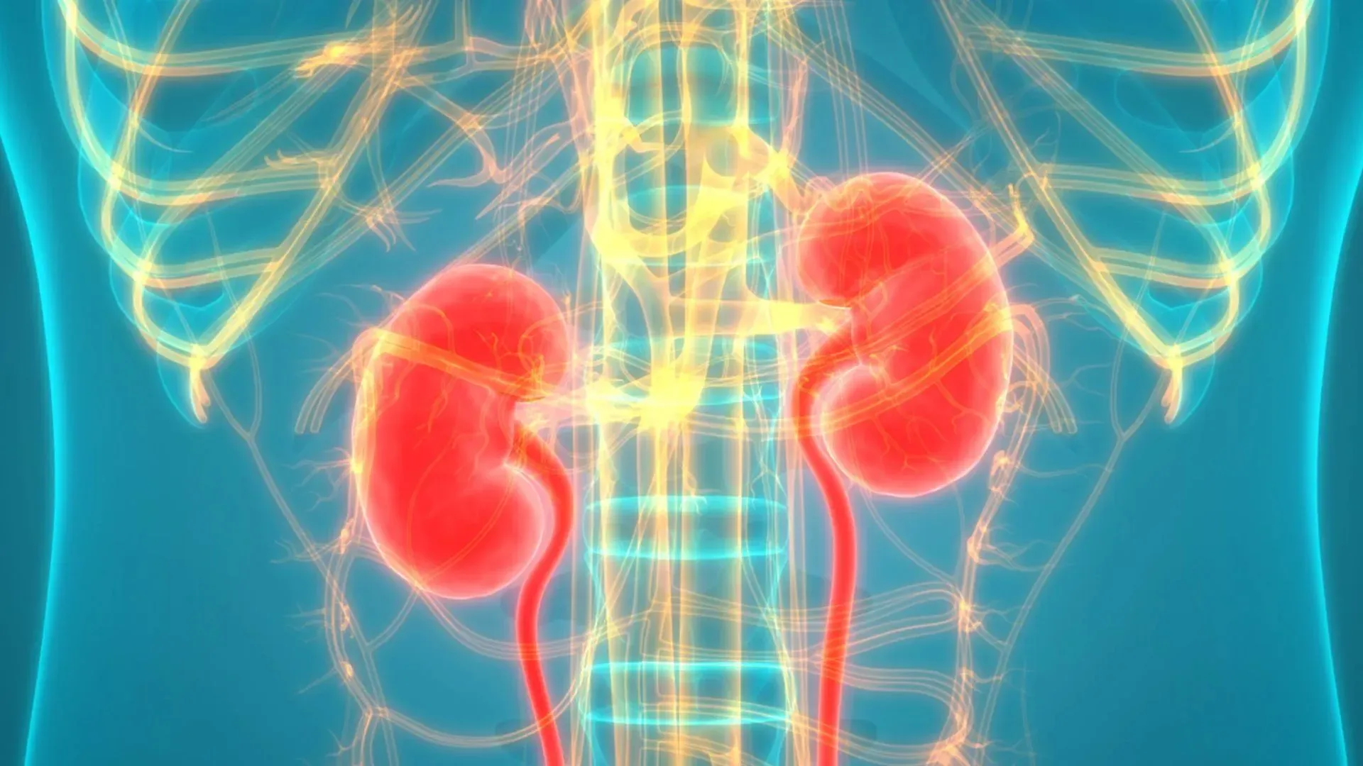 New Findings Connect PFAS Chemicals To Kidney Dysfunction And Gut Problems