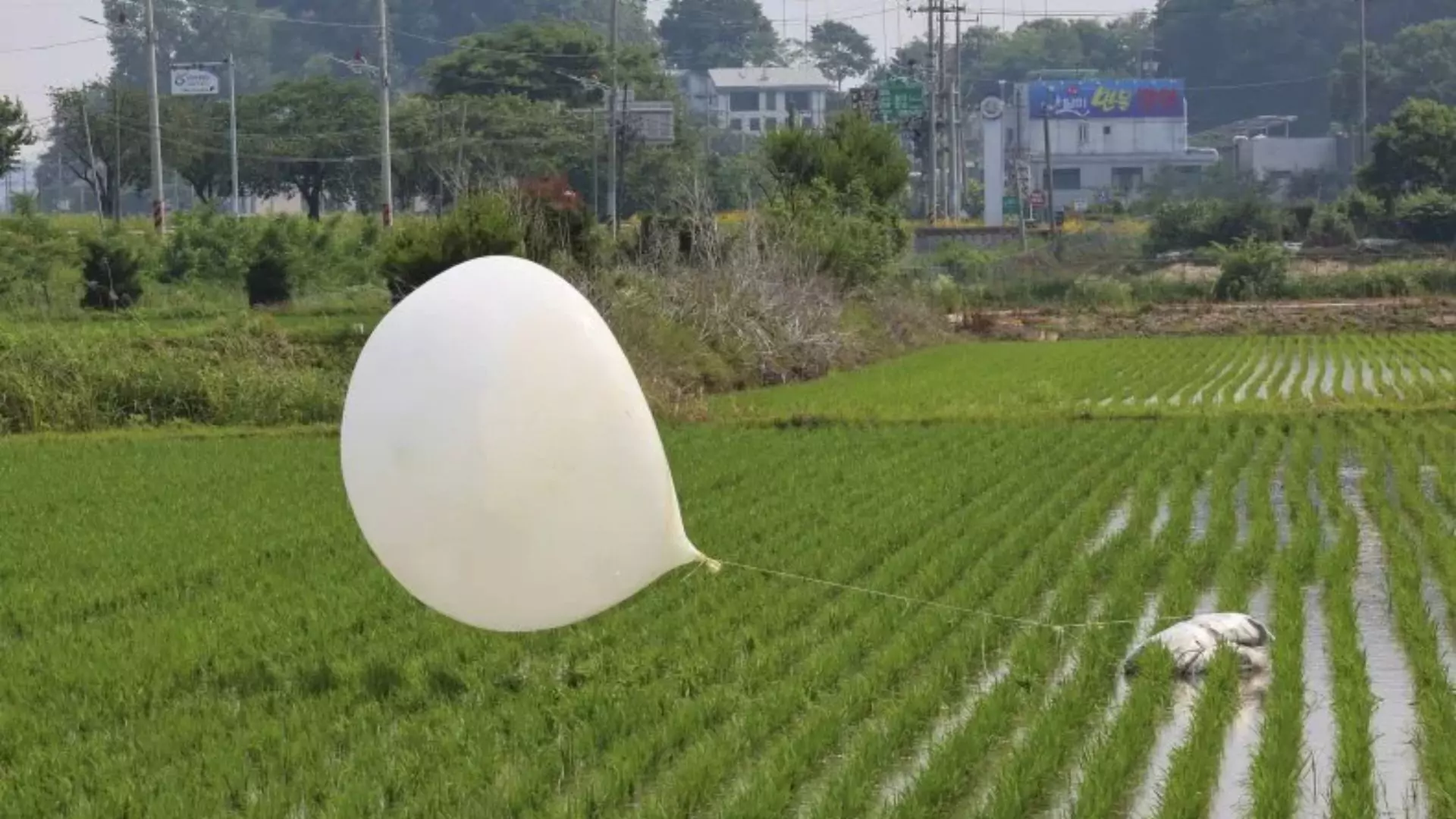 Trash War: North Korea Sends 20 Trash Balloons Toward South Korea