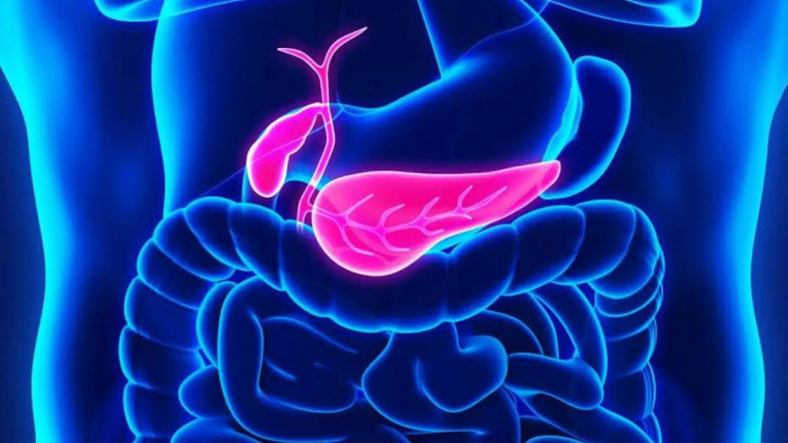 Pancreatic Cancer: Are ‘Targeted Inhibitor’ Developed by Israeli and Japanese Scientists New Hope?