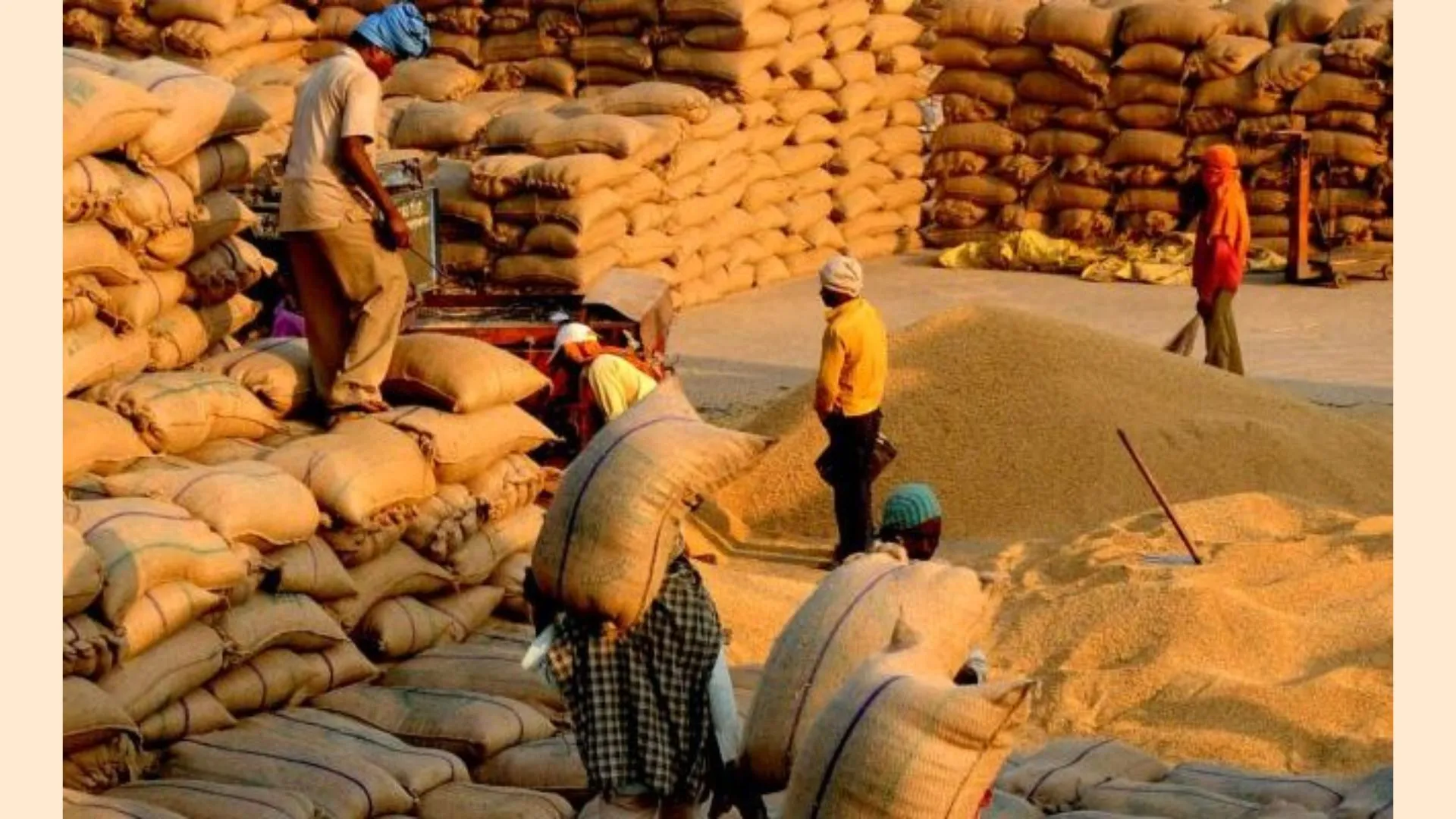 Punjab CM Bhagwant Mann Appeals For Central Aid In Paddy Procurement