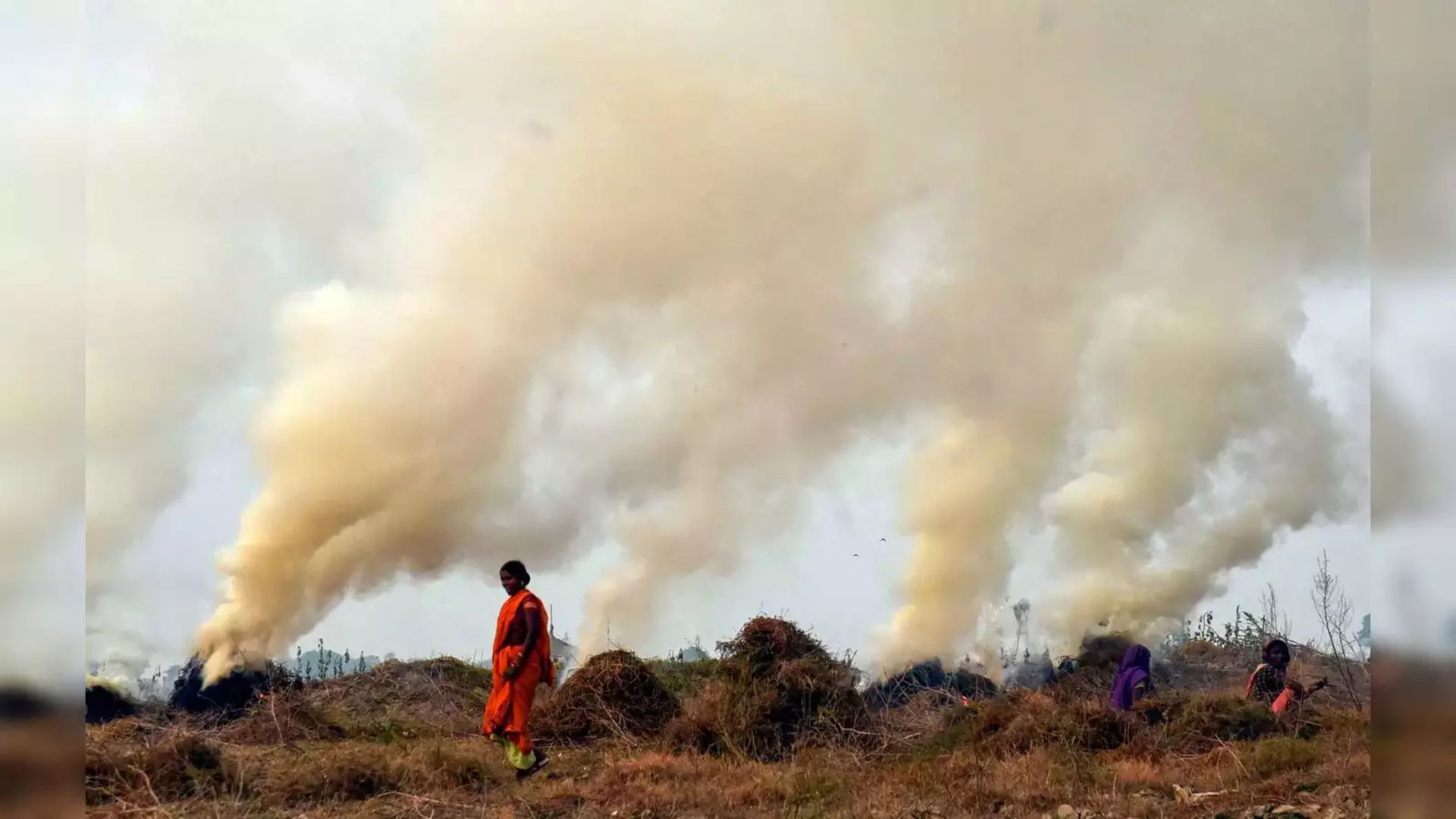 Stubble Burning Cases Reported In Punjab, Haryana Despite SC’s Criticism