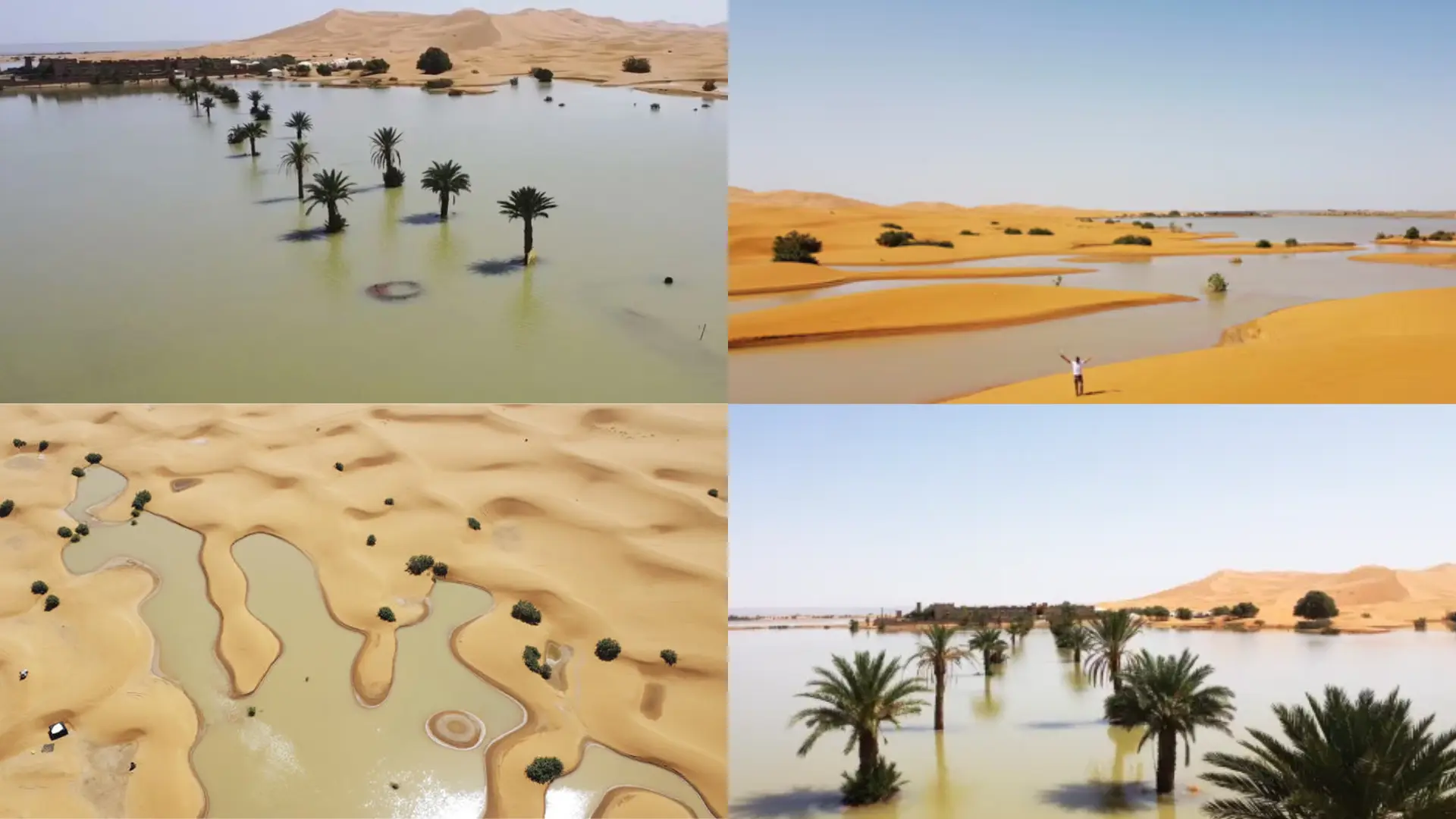 Sahara, The ‘Hottest’ Desert Experiences Rare Flooding: Once In 50 Years