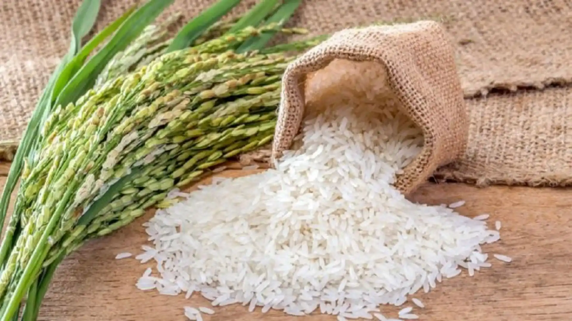 South Africa Welcomes India’s Rice Export Move Amidst Price Fluctuations