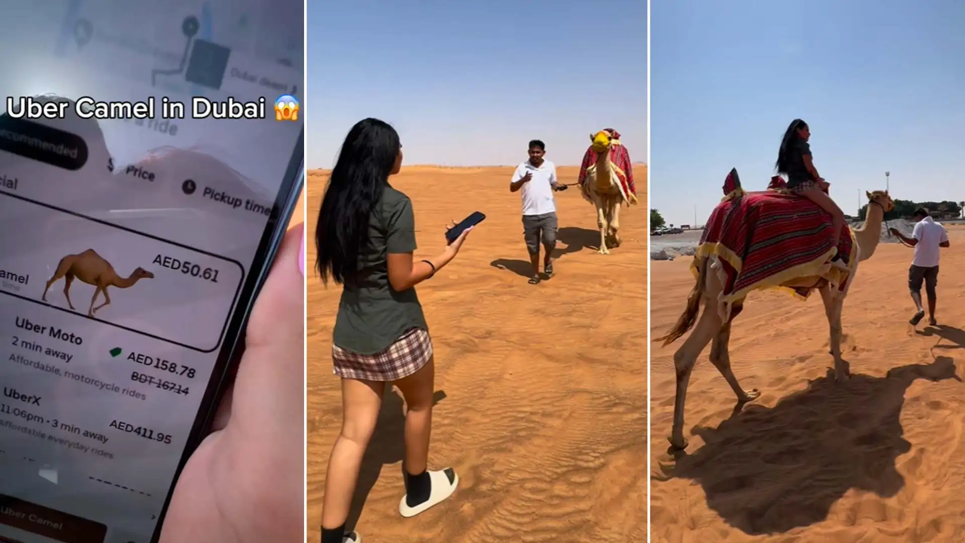 Uber Camel: Lost Tourists Rescued By Camel Ride In Dubai Desert – Watch Viral Video!