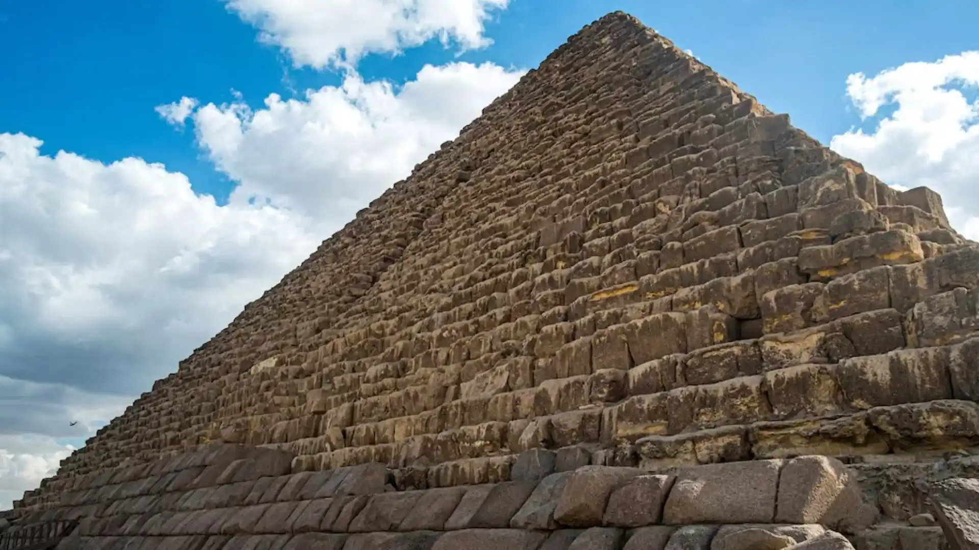 Viral Video Captures Stray Dog’s Unexpected Adventure On Great Pyramid