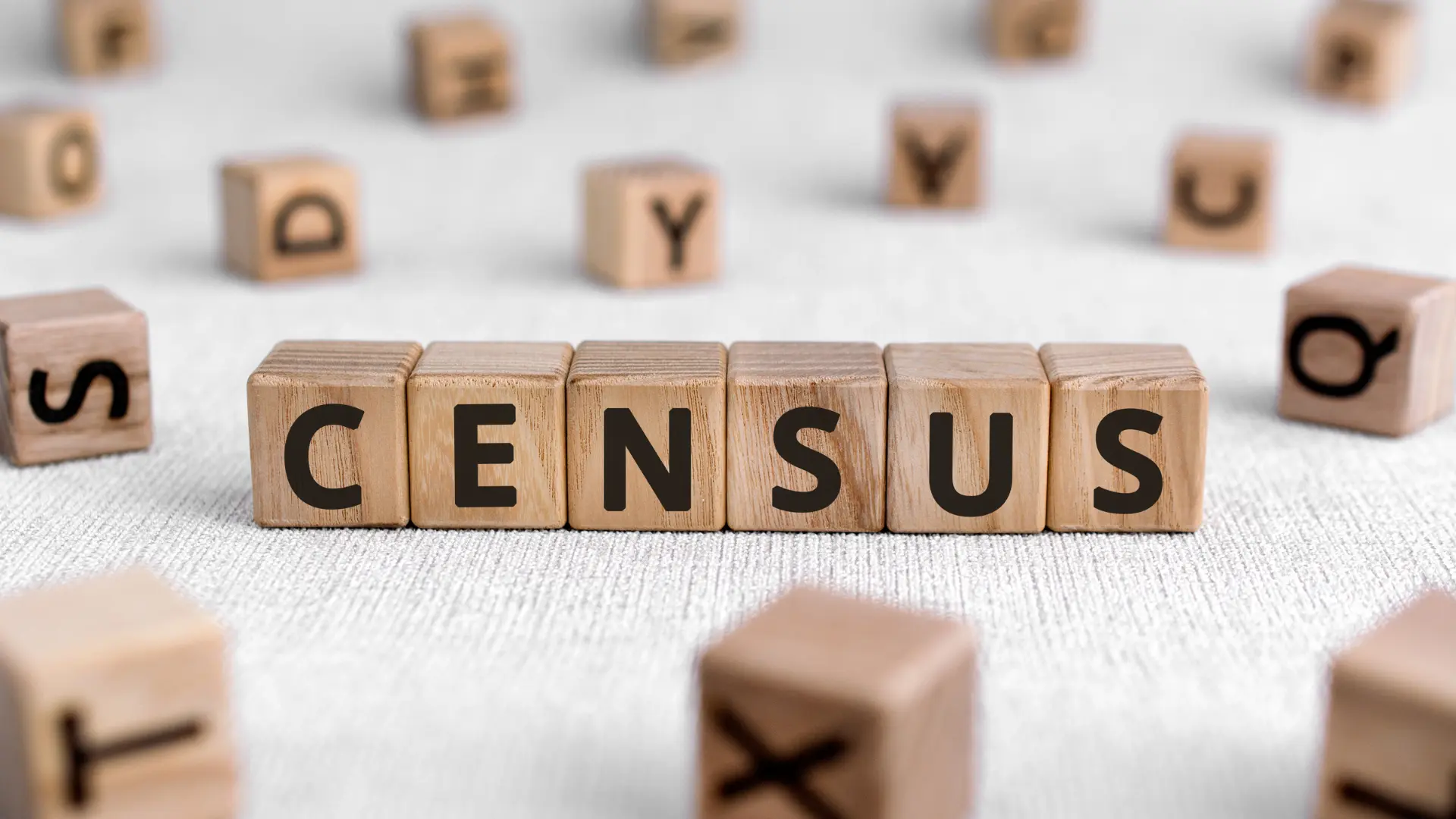 Understanding The Importance Of Census Data: What Can We Learn?