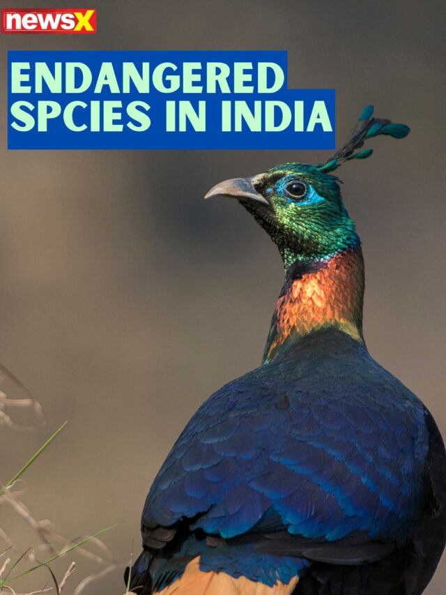 Endangered Species In India