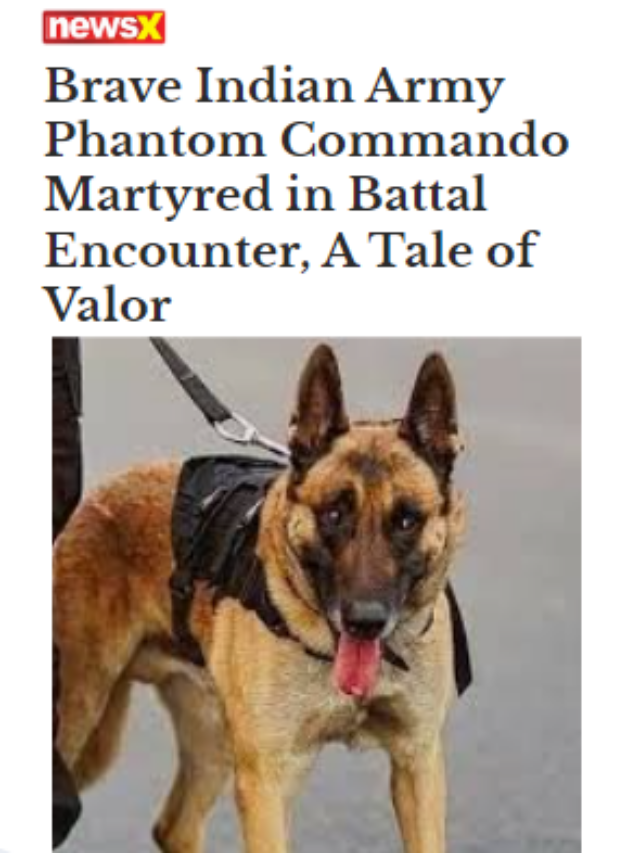 Brave Indian Army Phantom Commando Martyred in Battal Encounter, A Tale of Valor