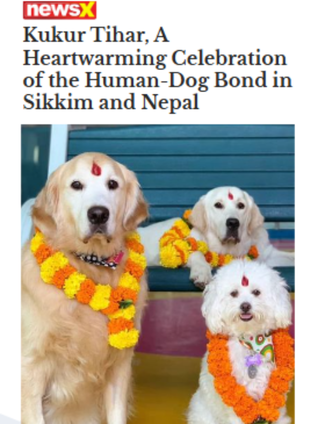 Kukur Tihar, A Heartwarming Celebration Of The Human-Dog Bond In Sikkim And Nepal