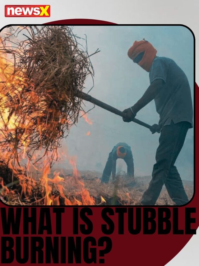 What Is Stubble Burning?