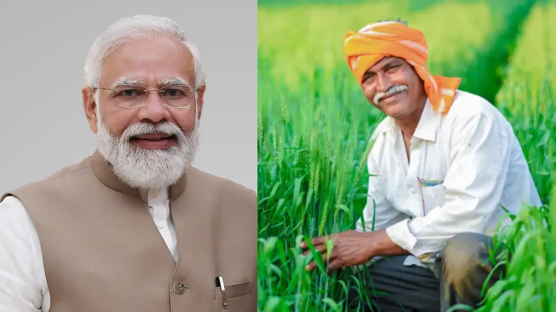 PM KISAN SAMMAN: 18th Installment Disbursed, How to Check?