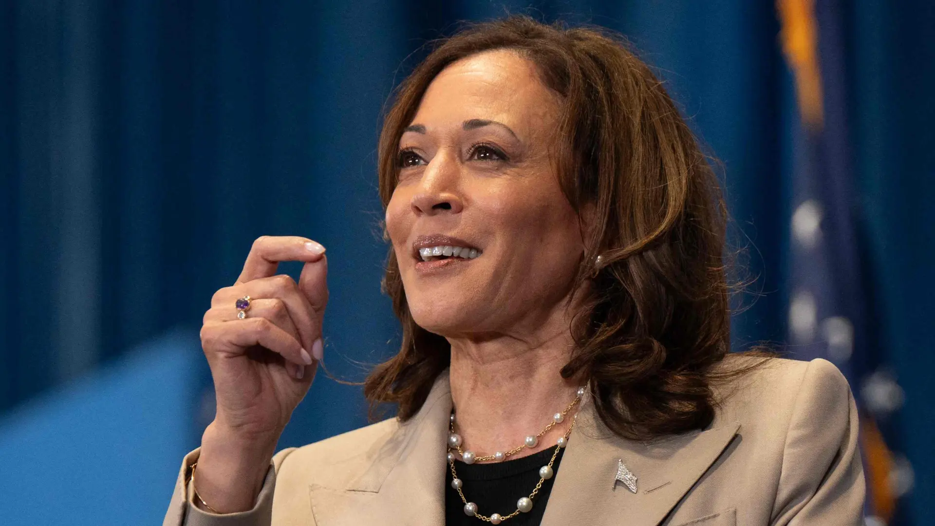 US Elections: Kamala Harris Rallies Support, Pledges to Counter Trump’s Politics of Division