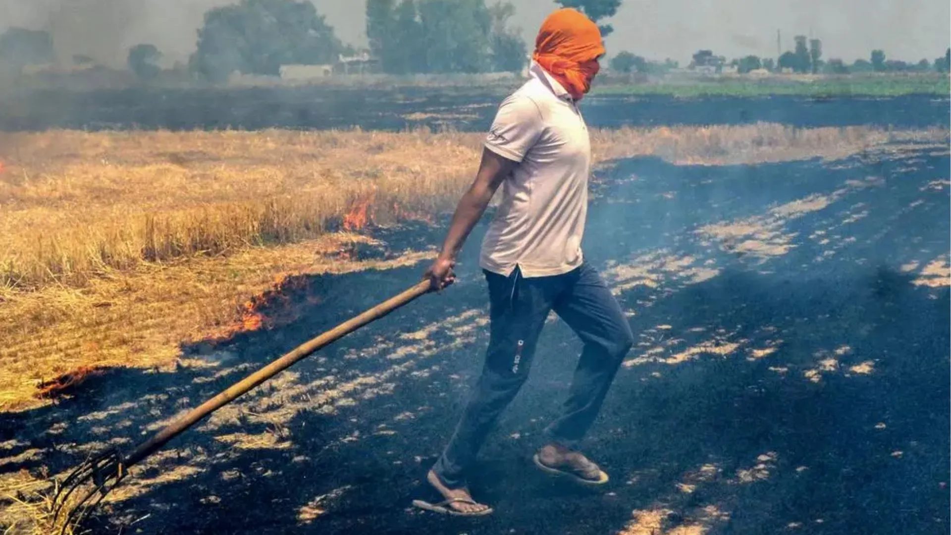 Stubble Burning Resurges In Punjab And Haryana Despite SC’s Criticism