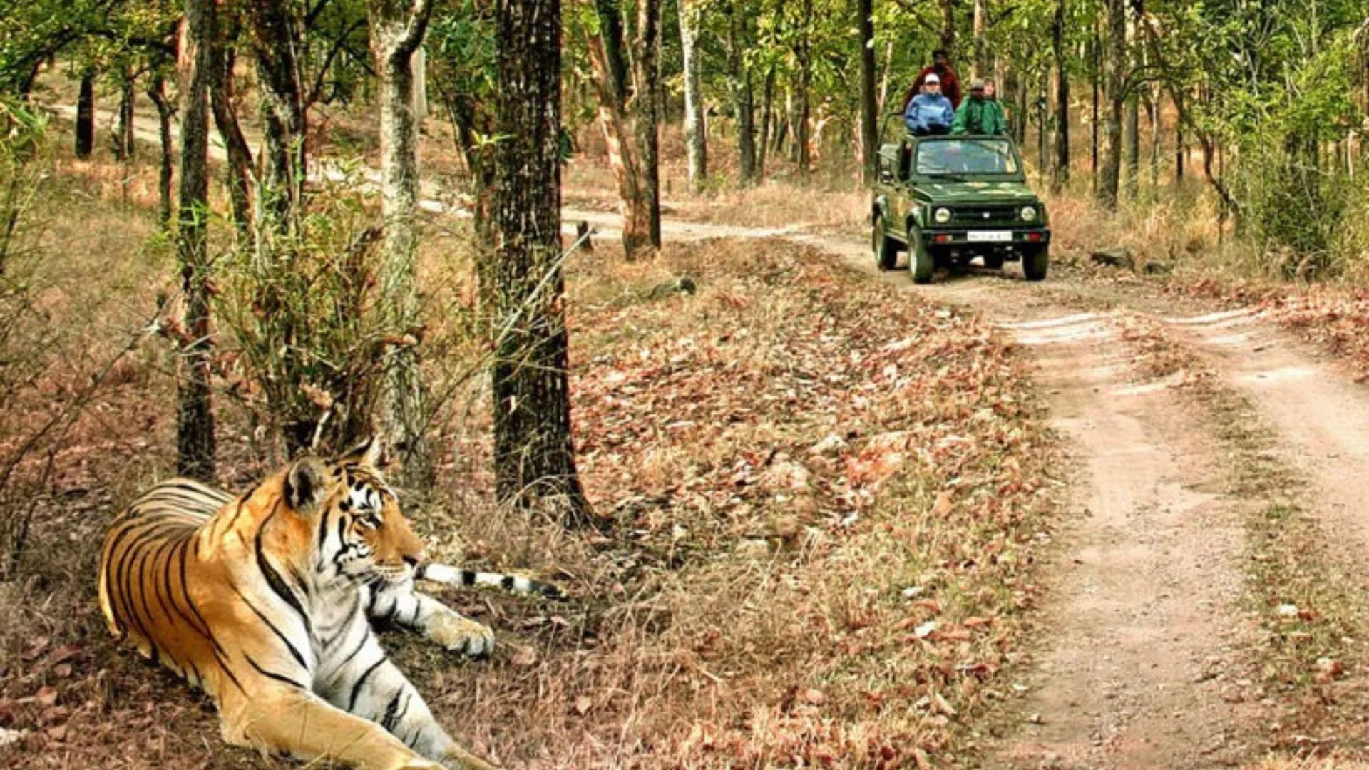 Cameras And Drones In Corbett National Park Used To Intimidate Women, Study Alleges