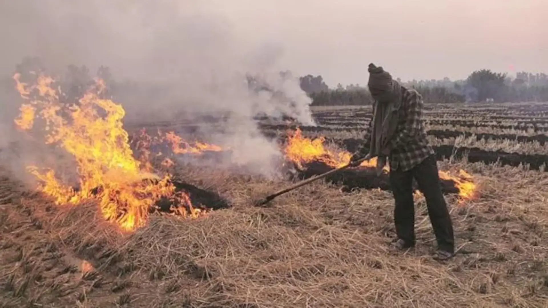 Delhi Air Pollution: Are Farmers In Punjab And Haryana Timing Stubble Fires To Avoid Satellite Detection?